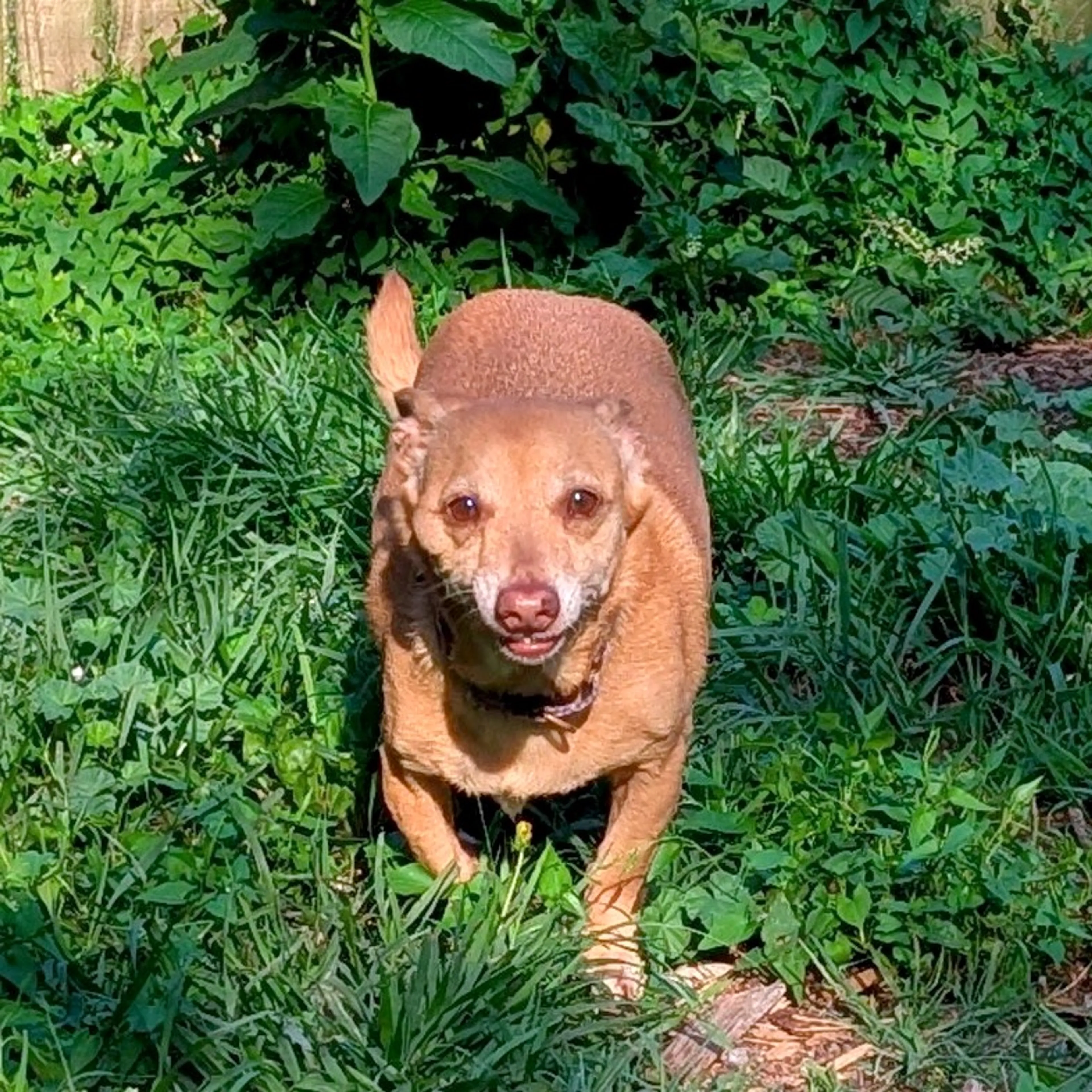 -13