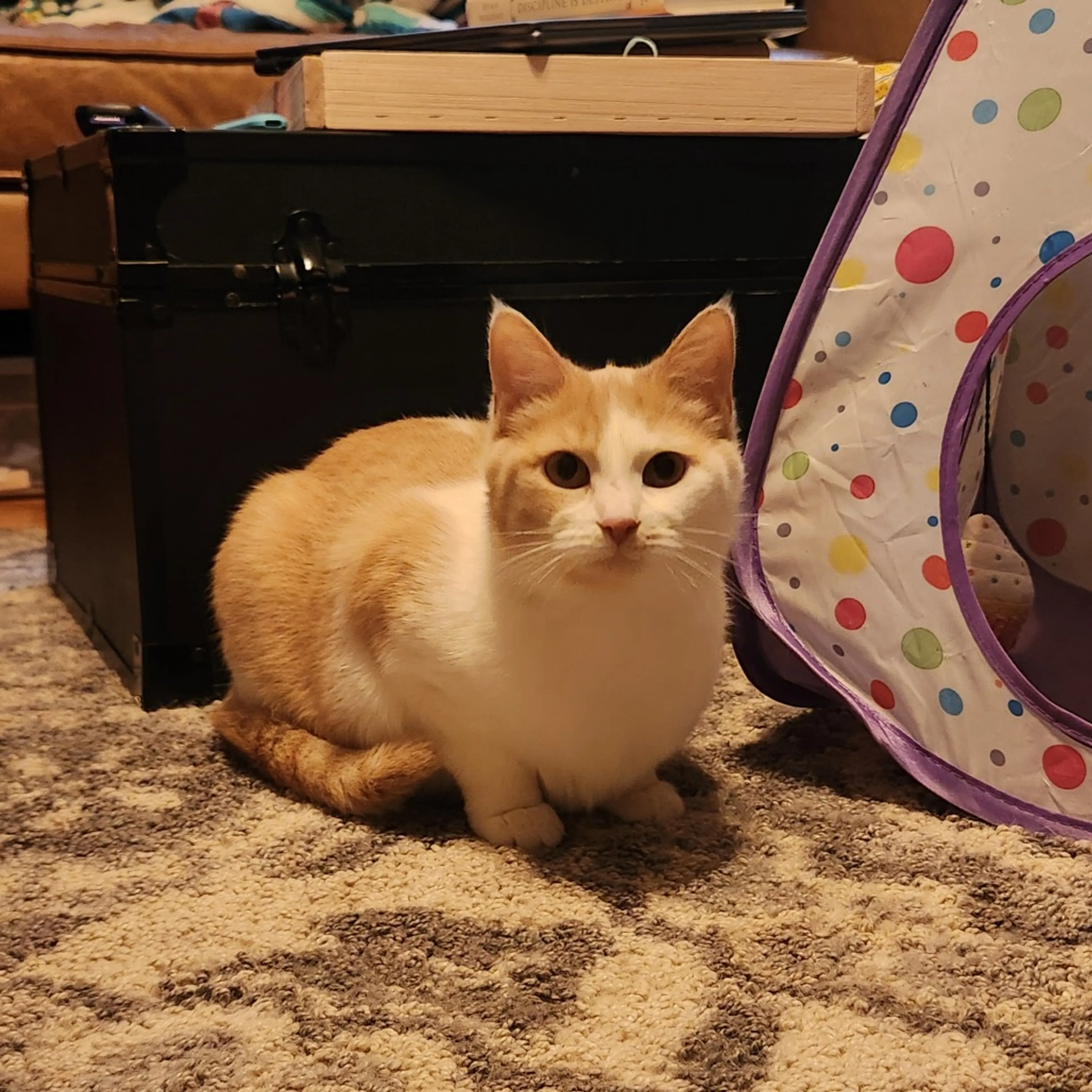 -16