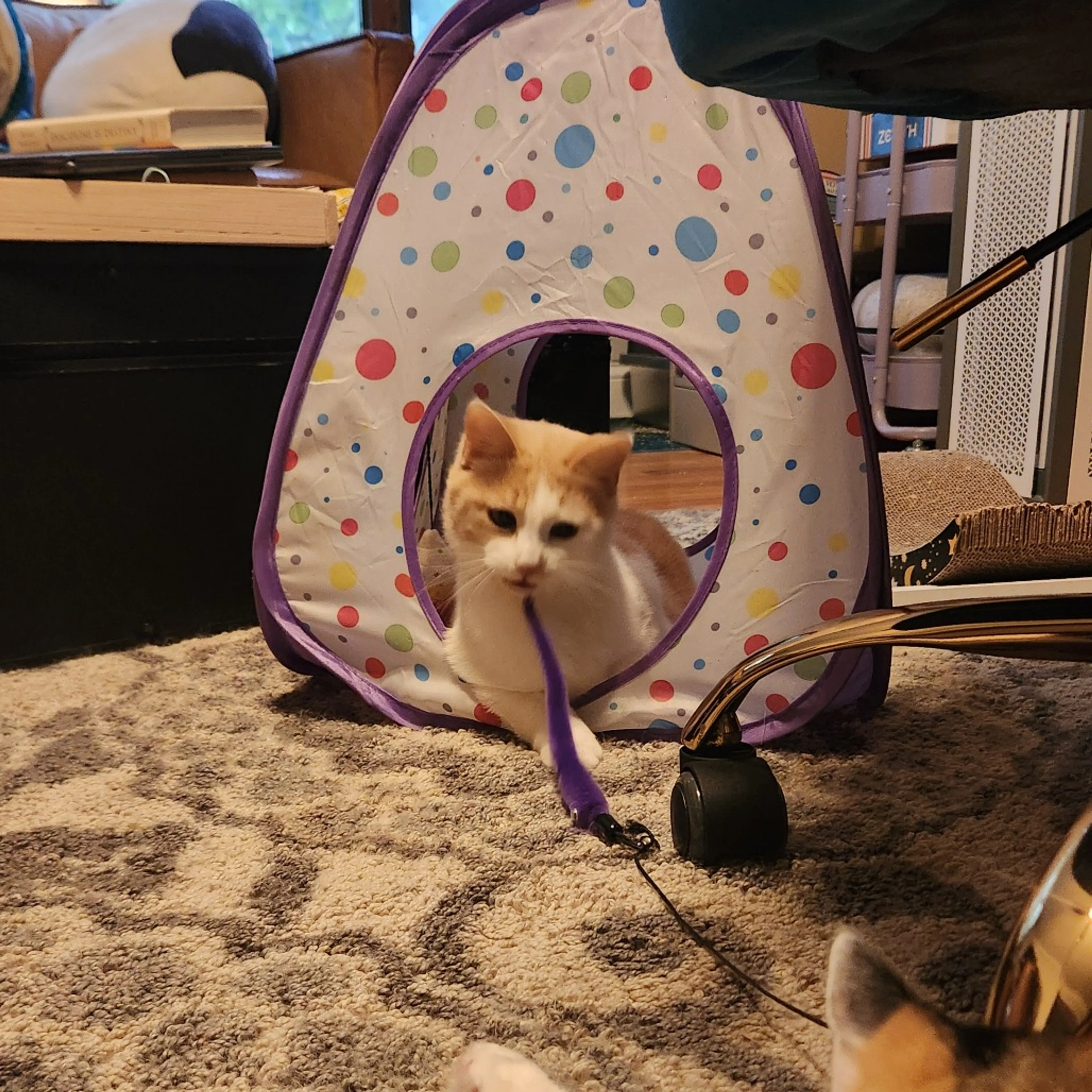 -15