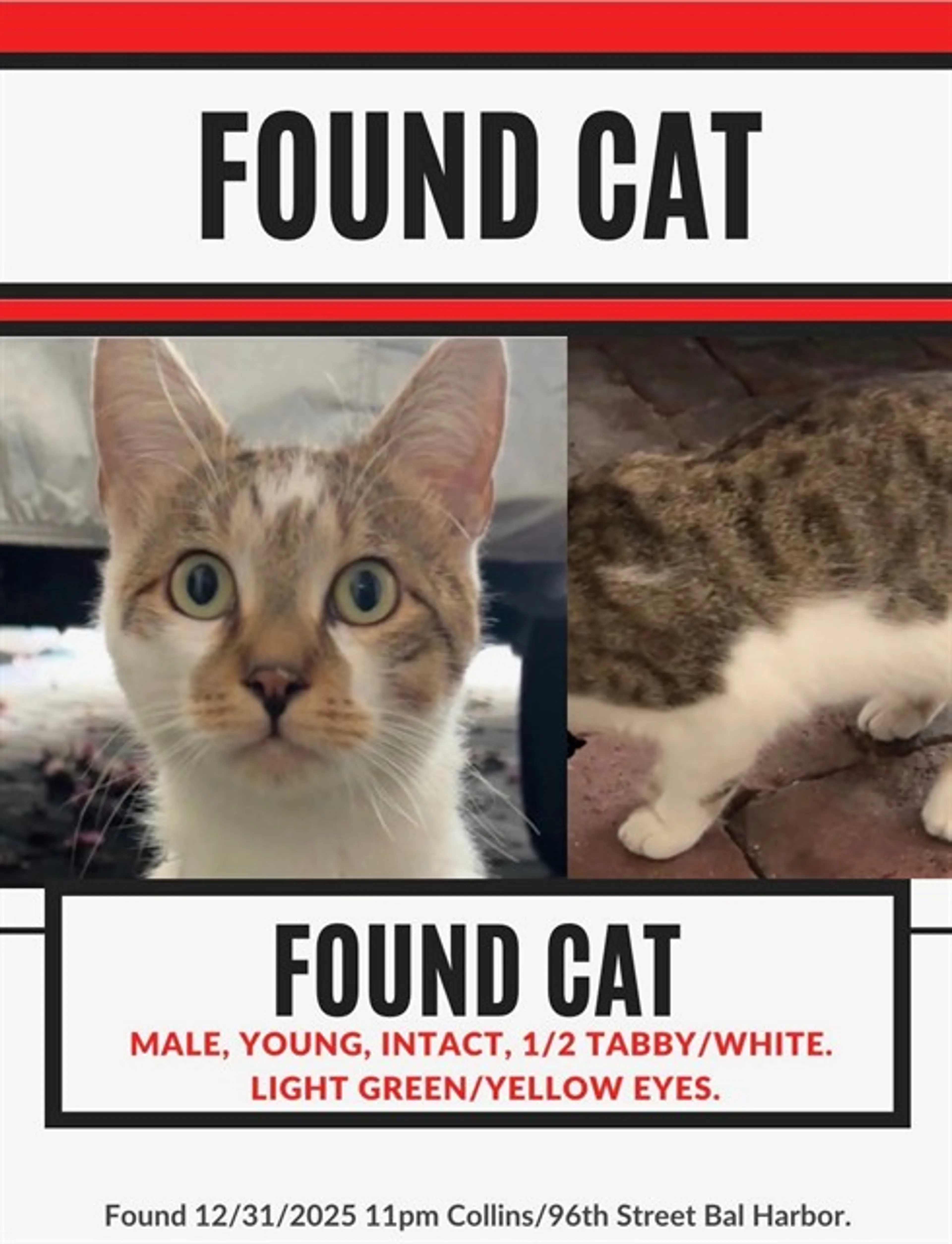 Found pet