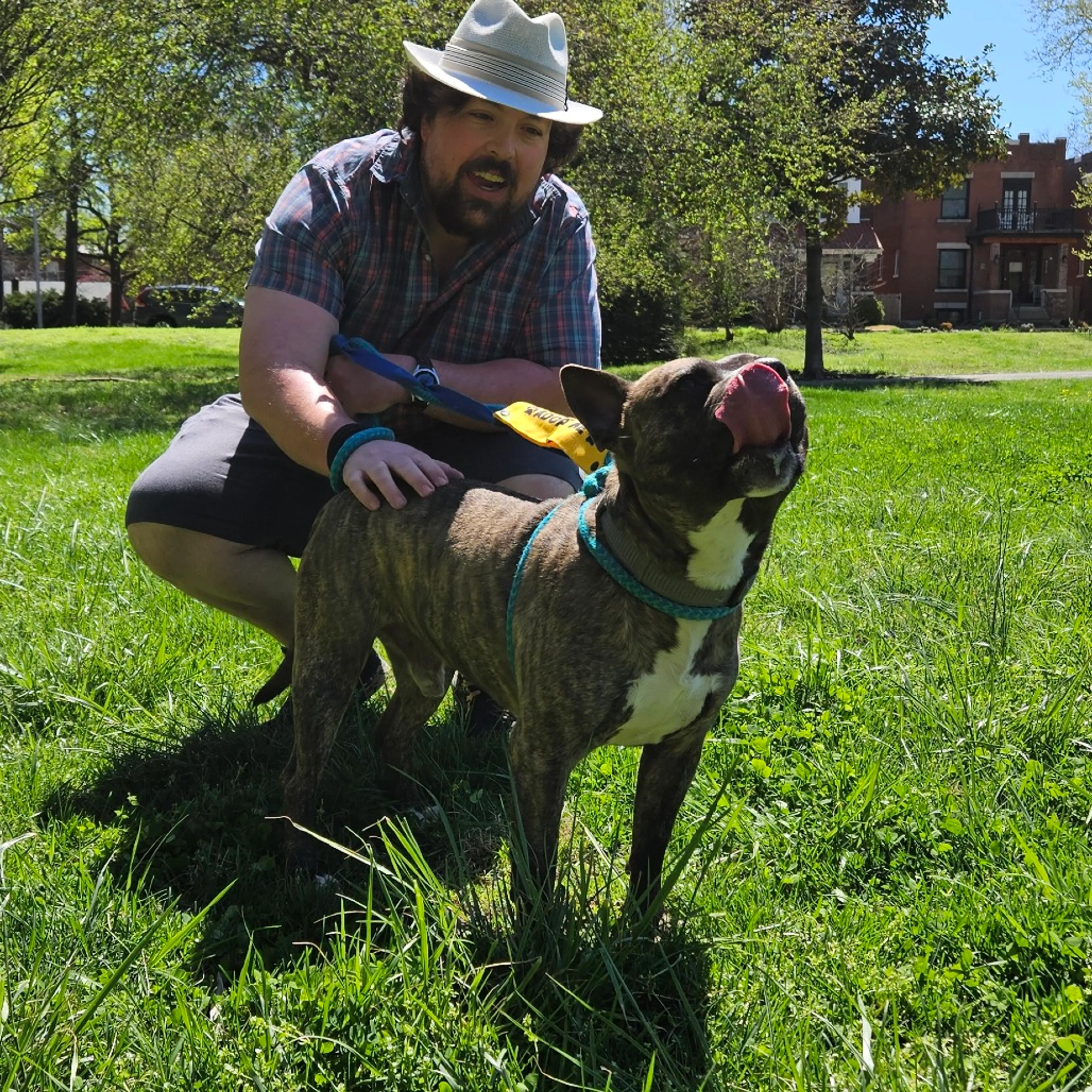 Found pet-17