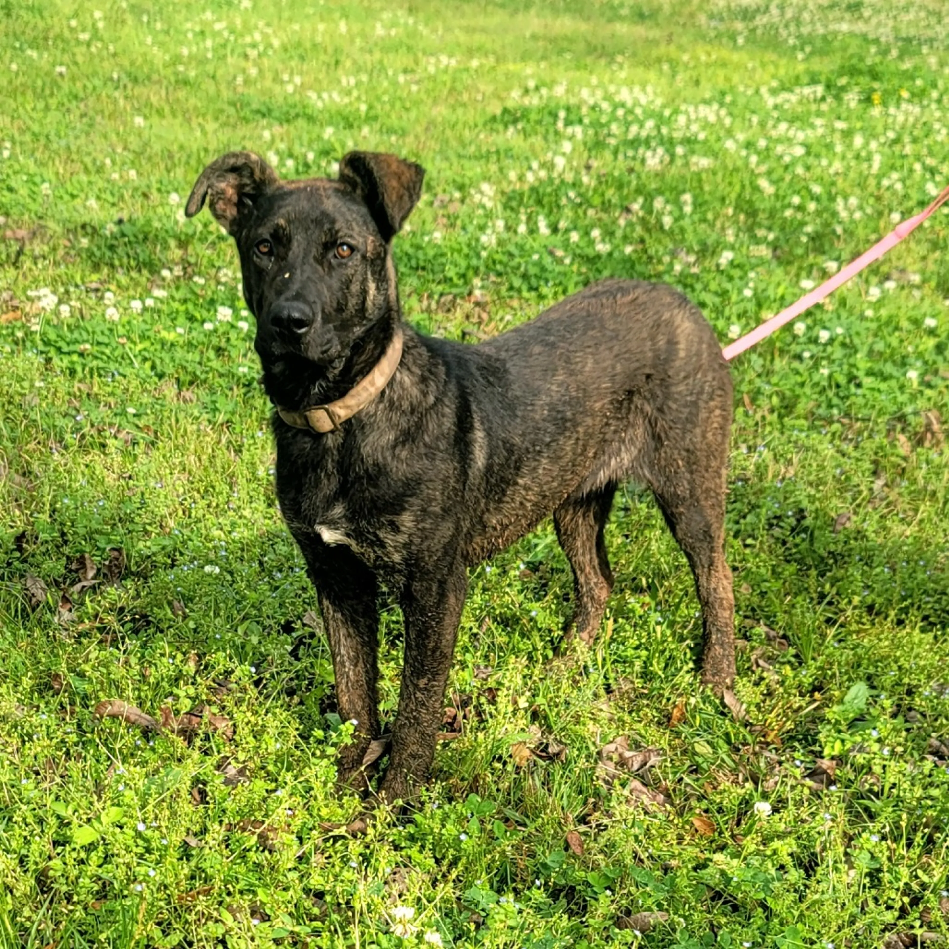 -13