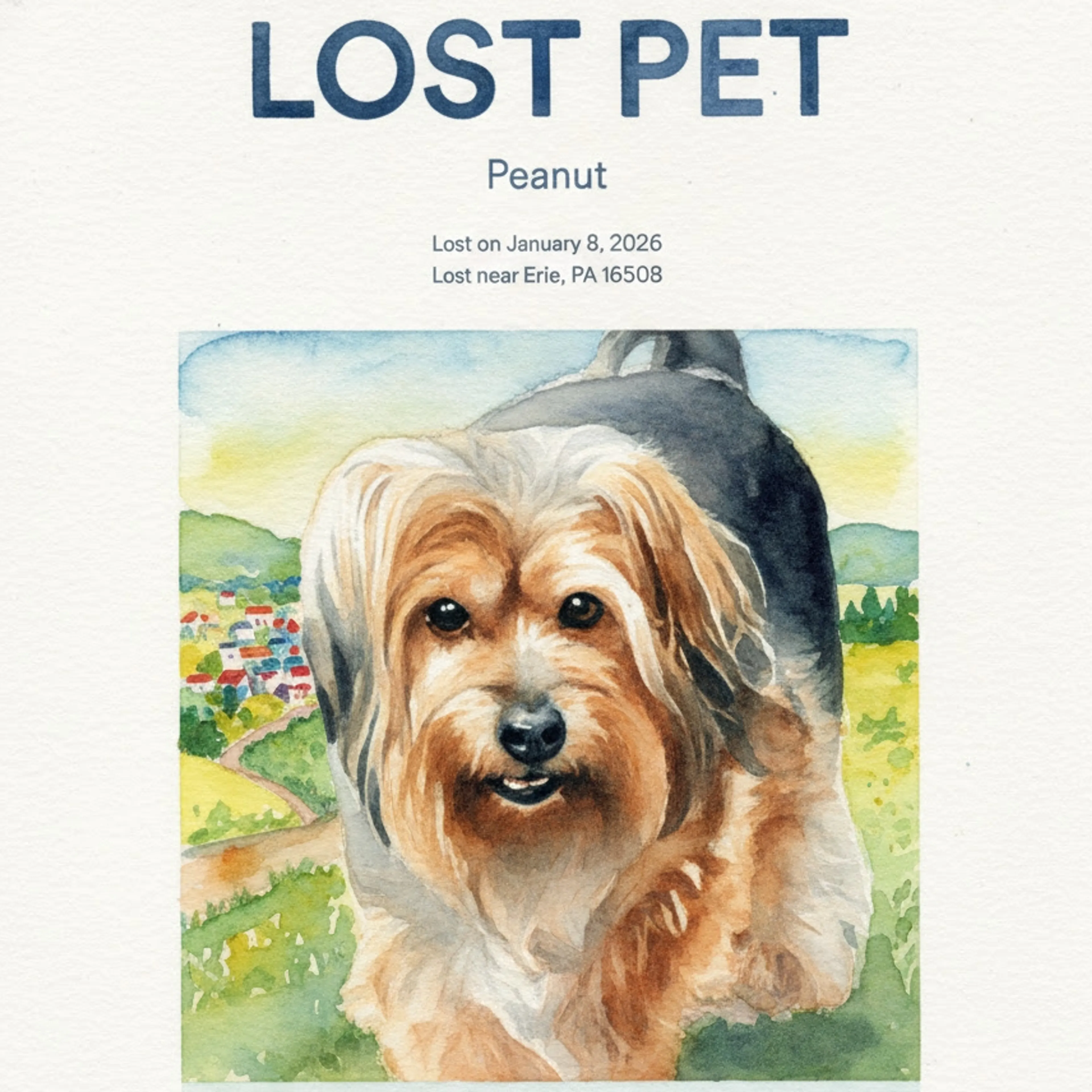 Lost pet-0