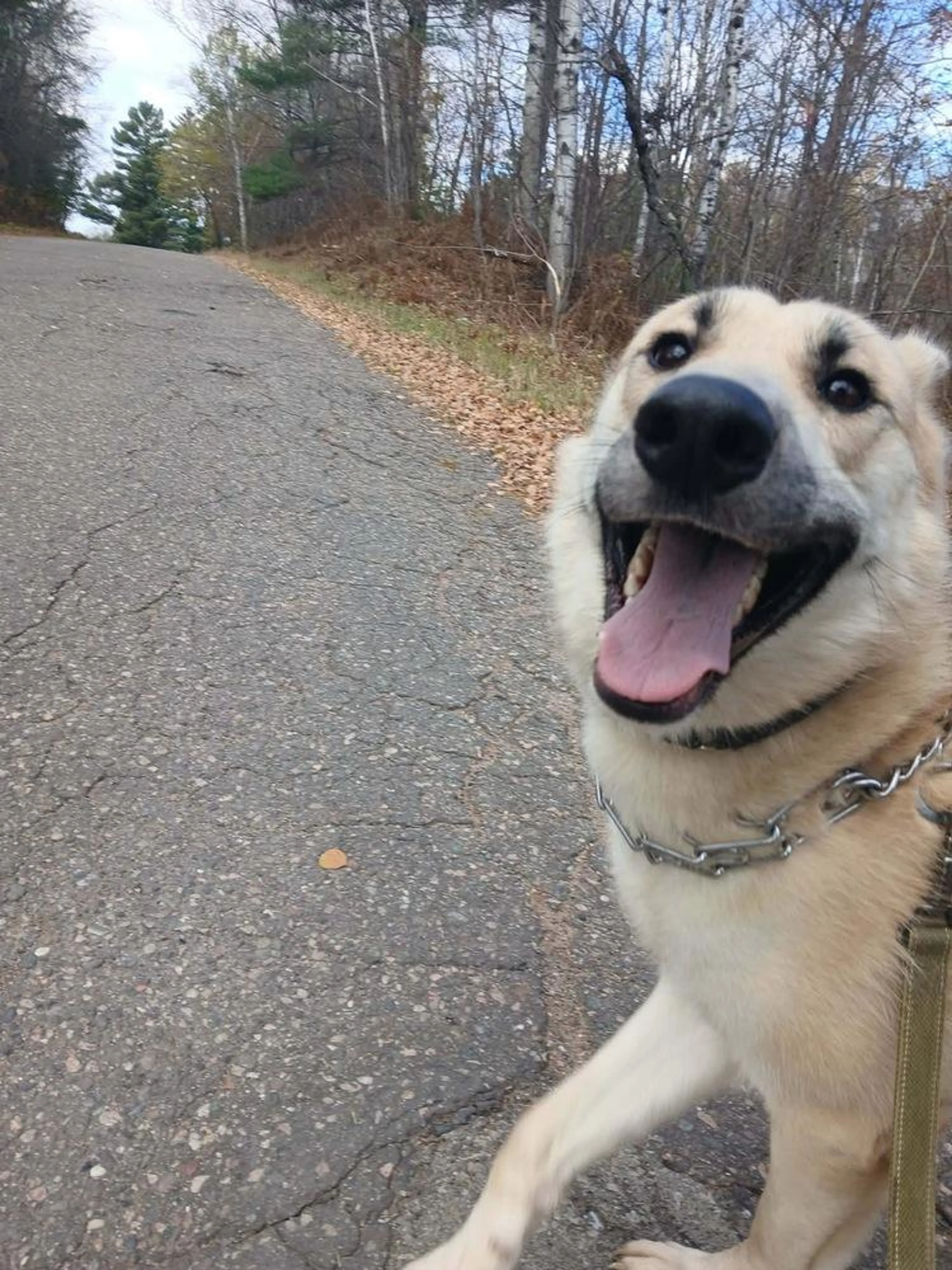 -1