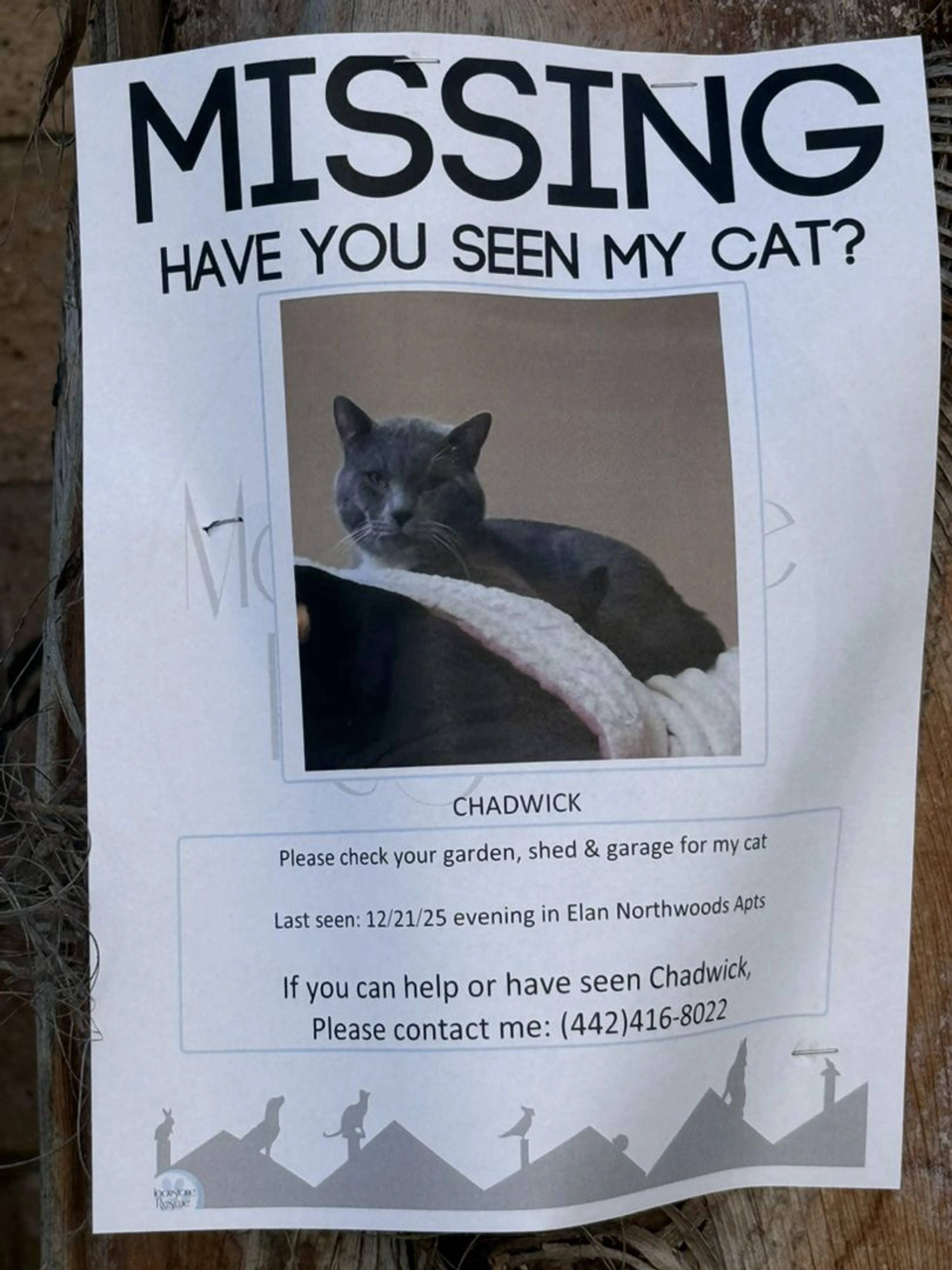 Lost pet