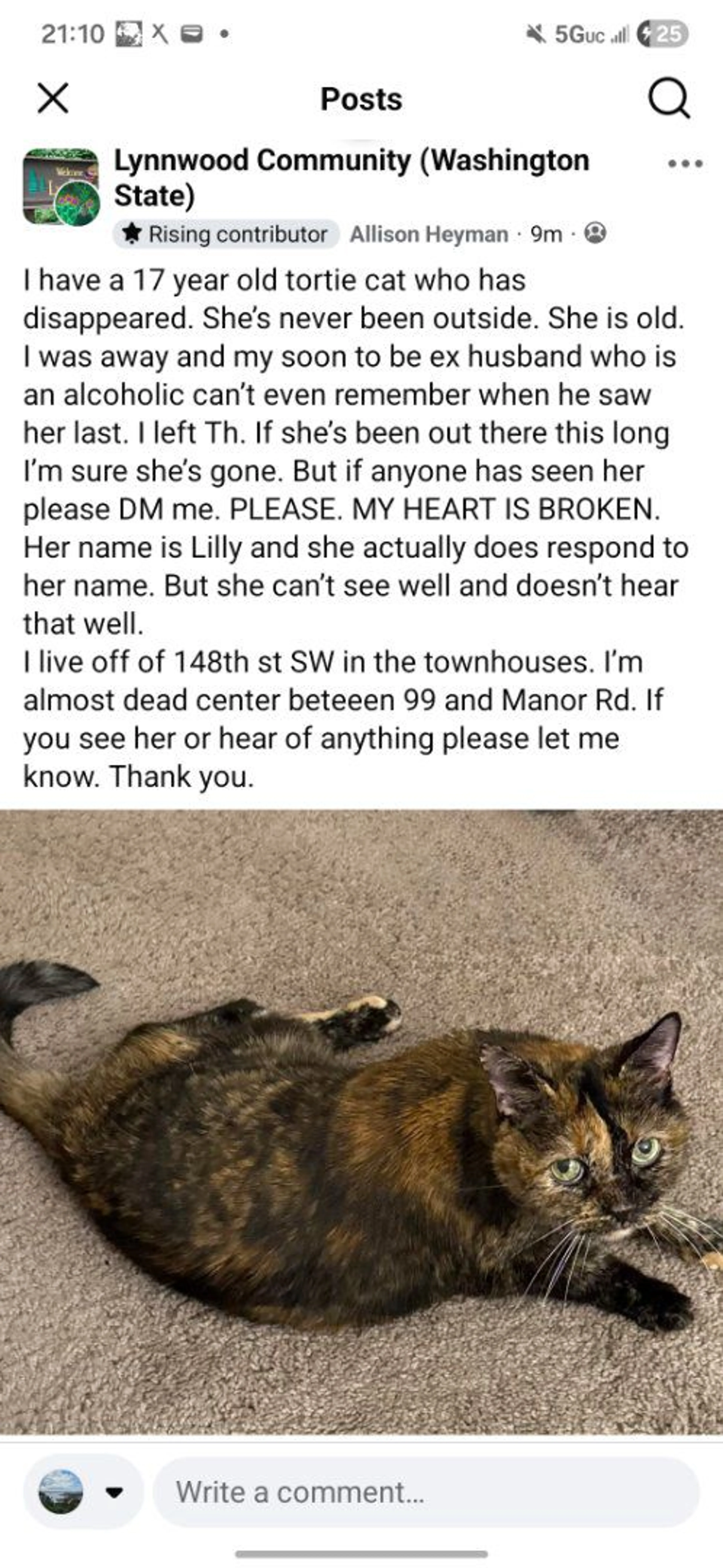 Lost pet