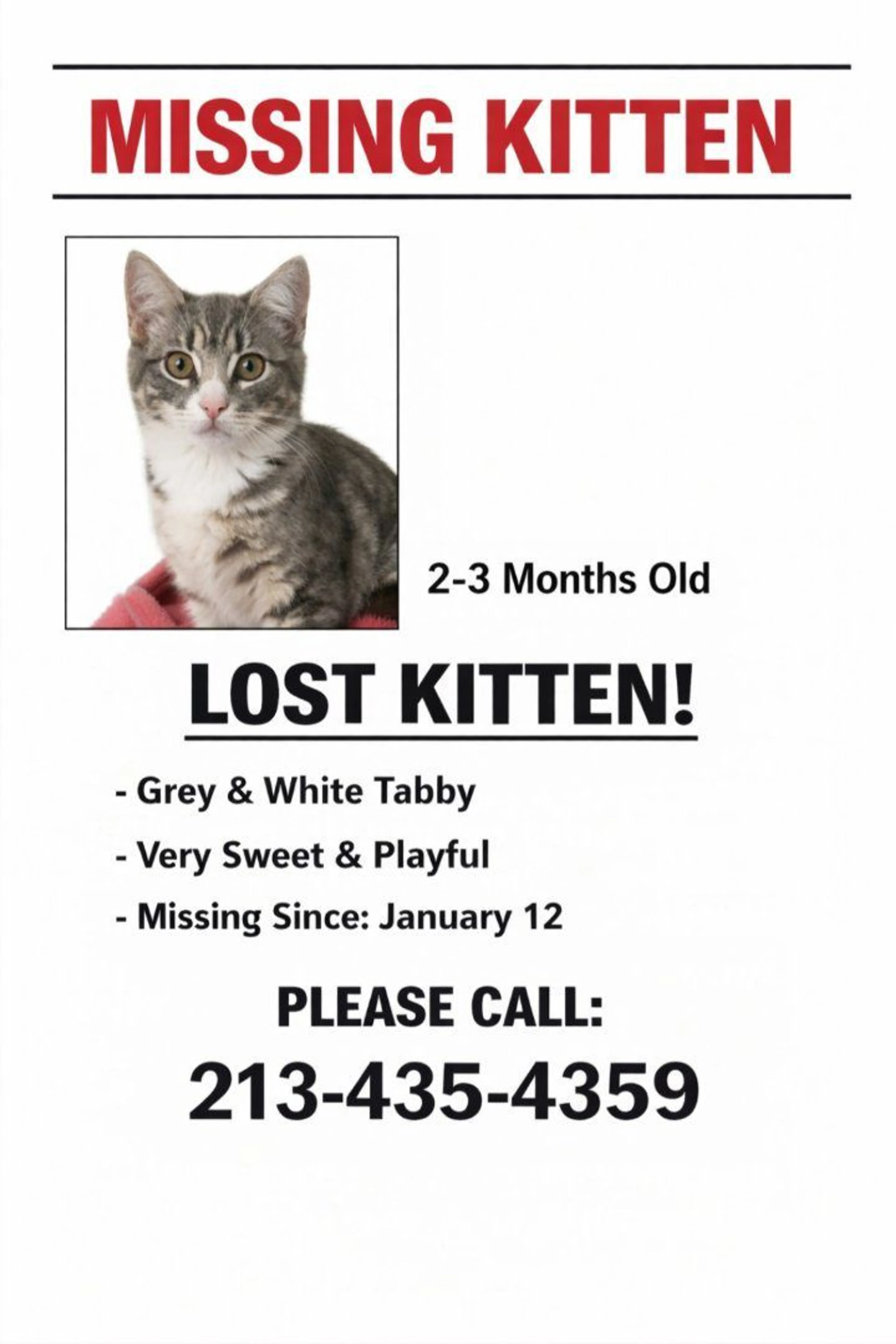 Lost pet