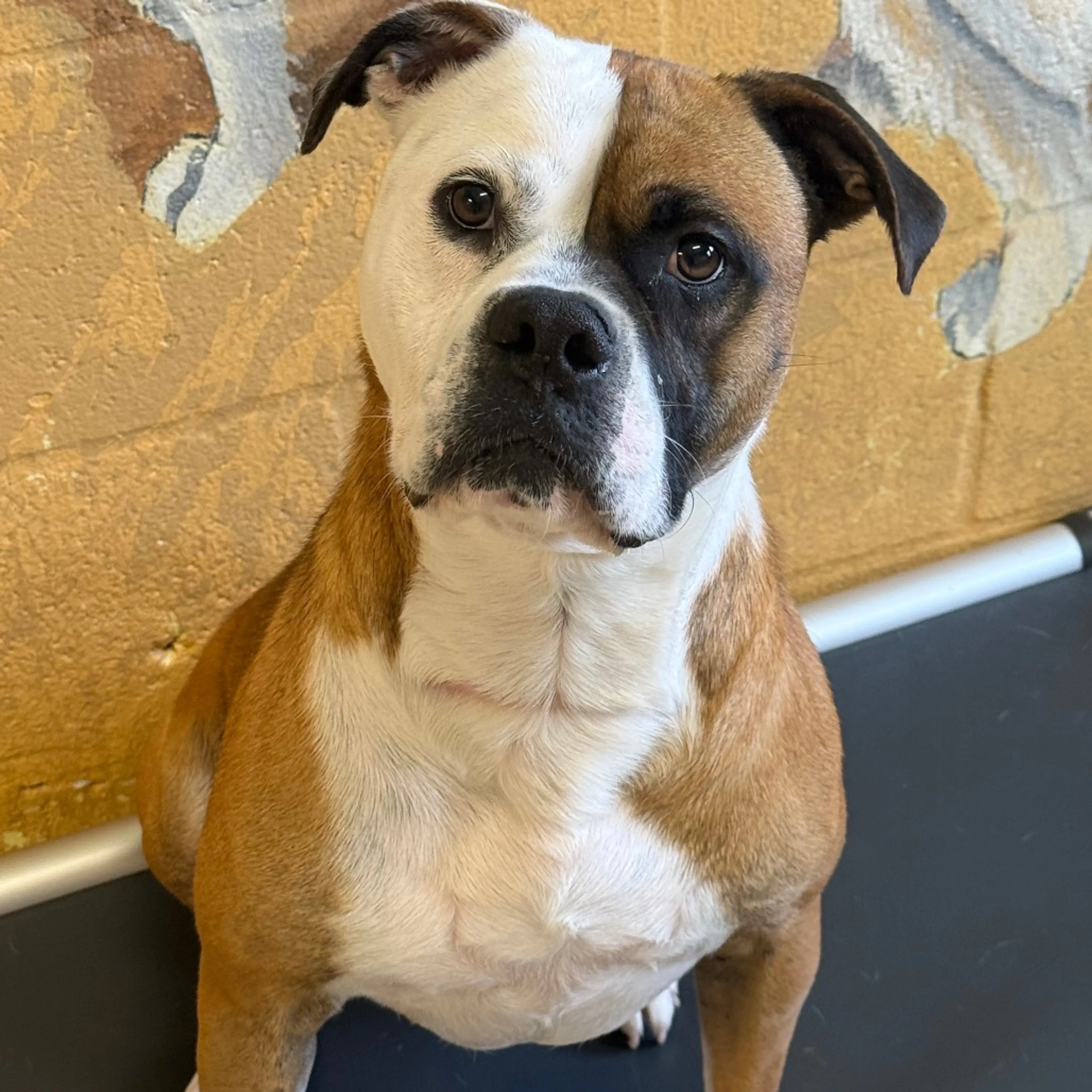 -6