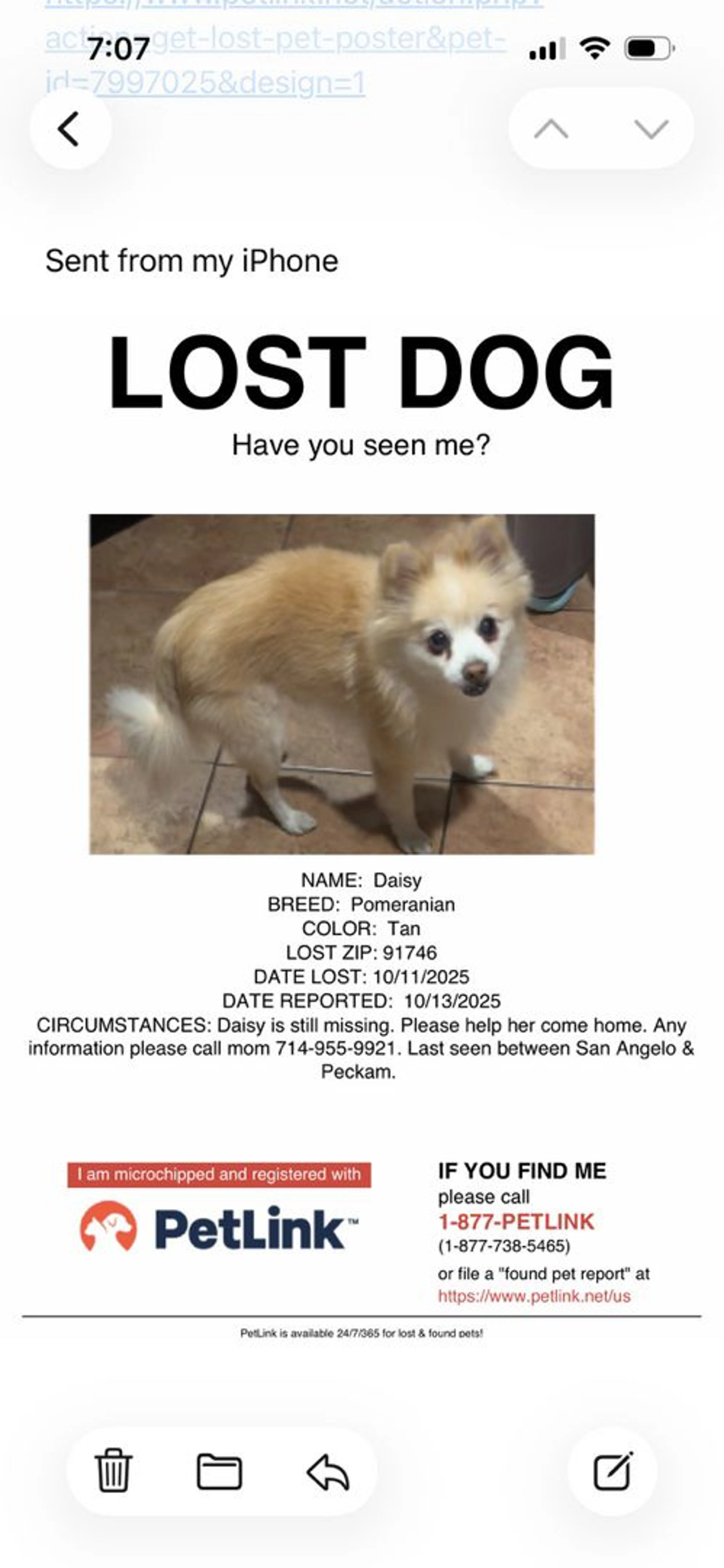 Lost pet