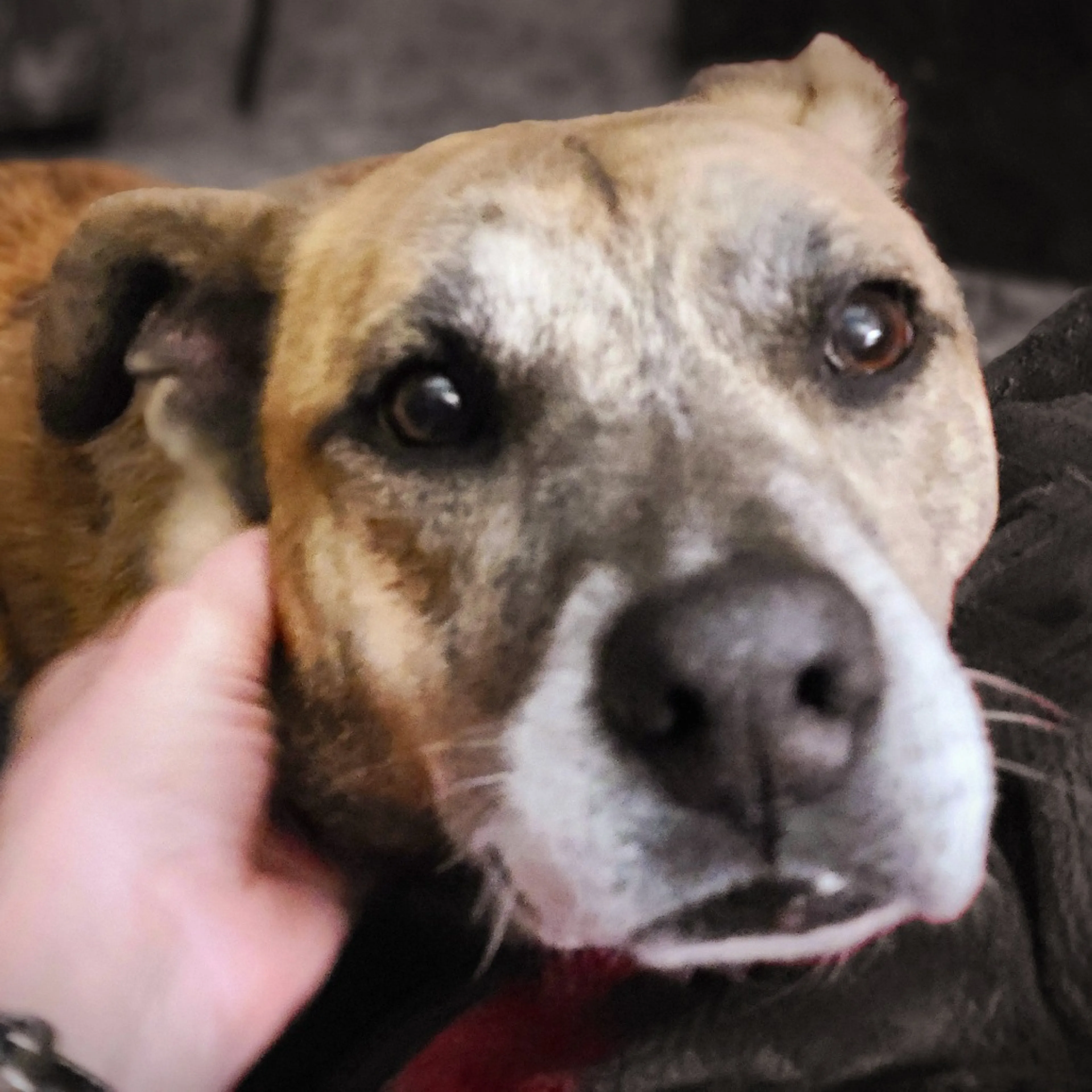 -7