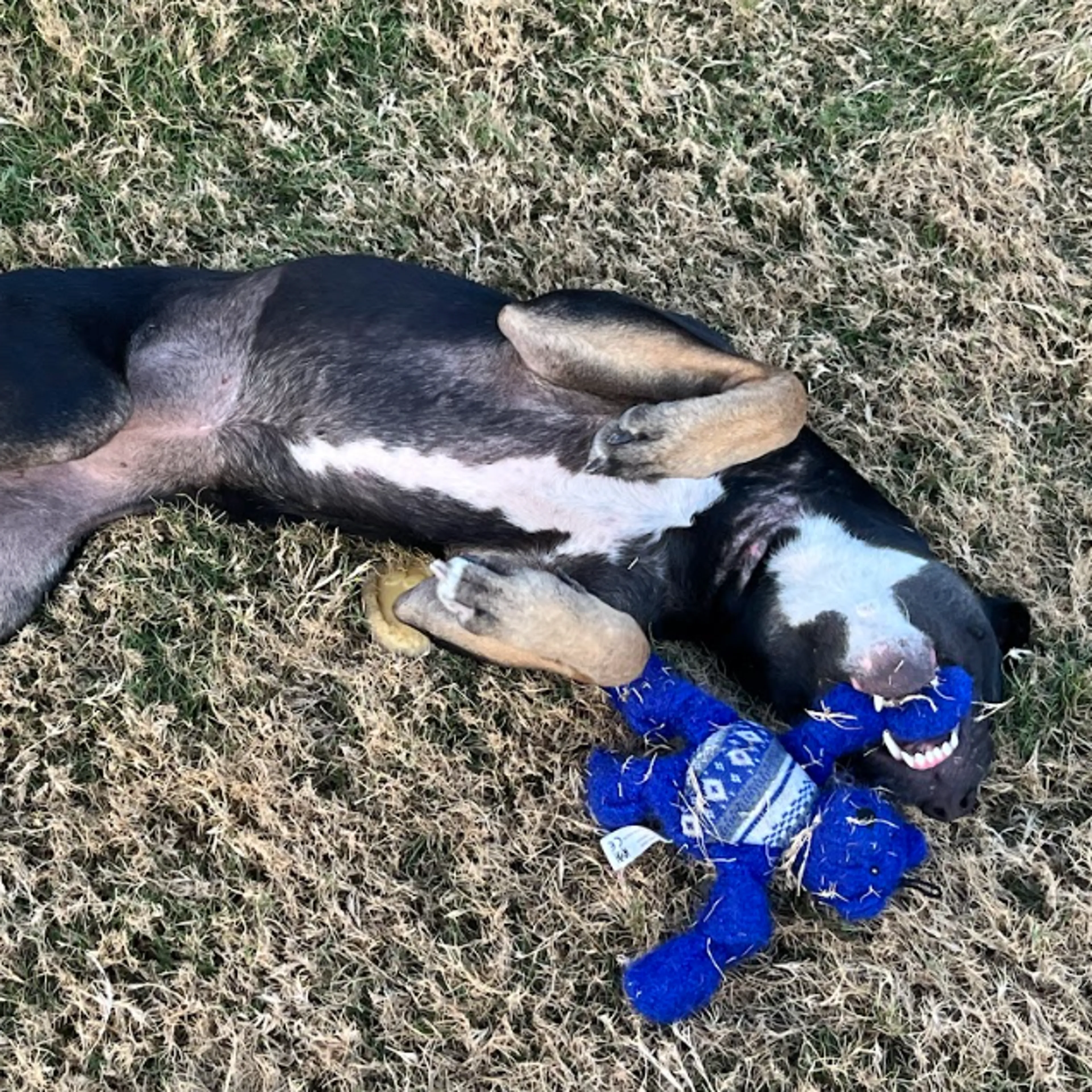 -10