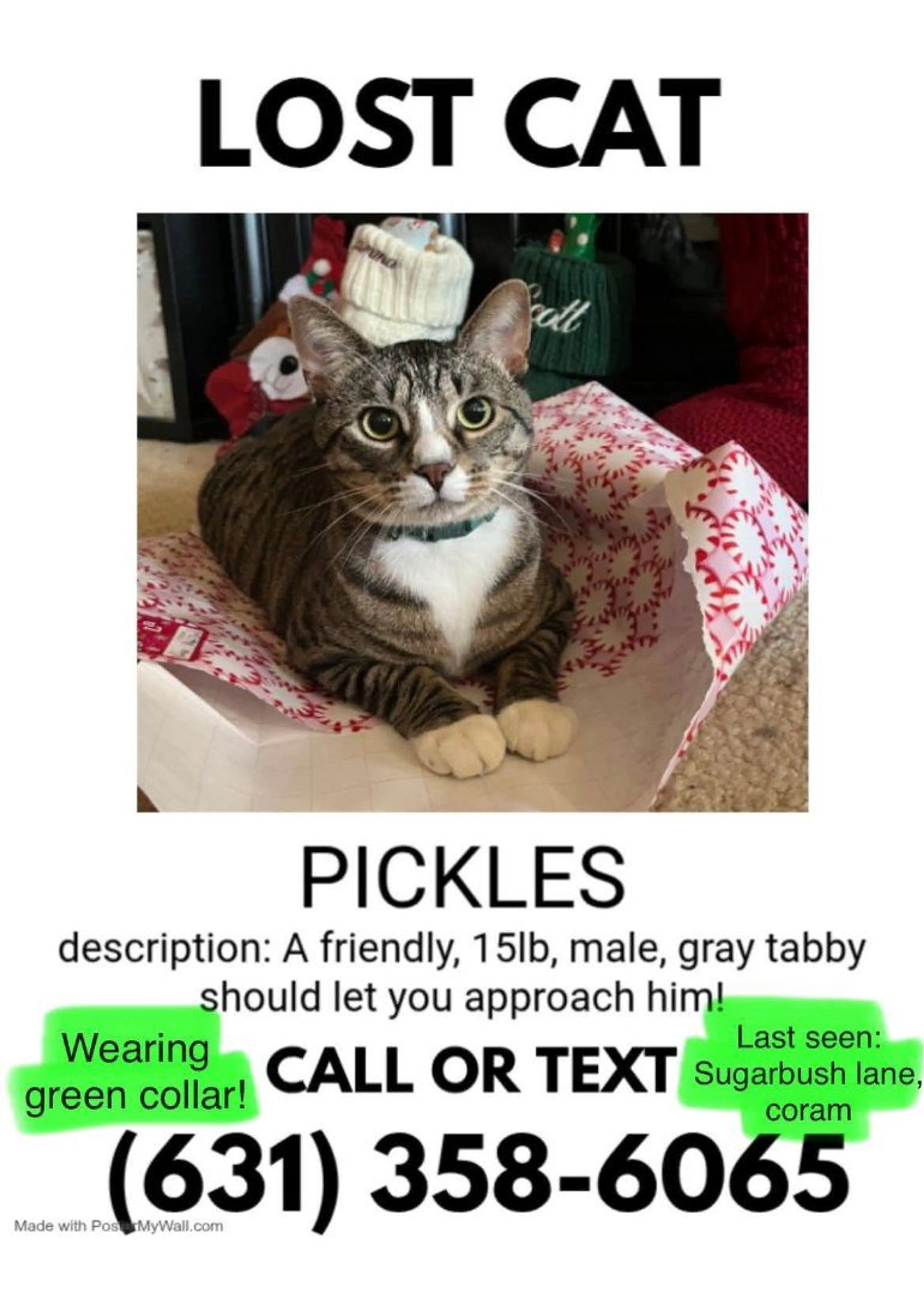 Lost pet