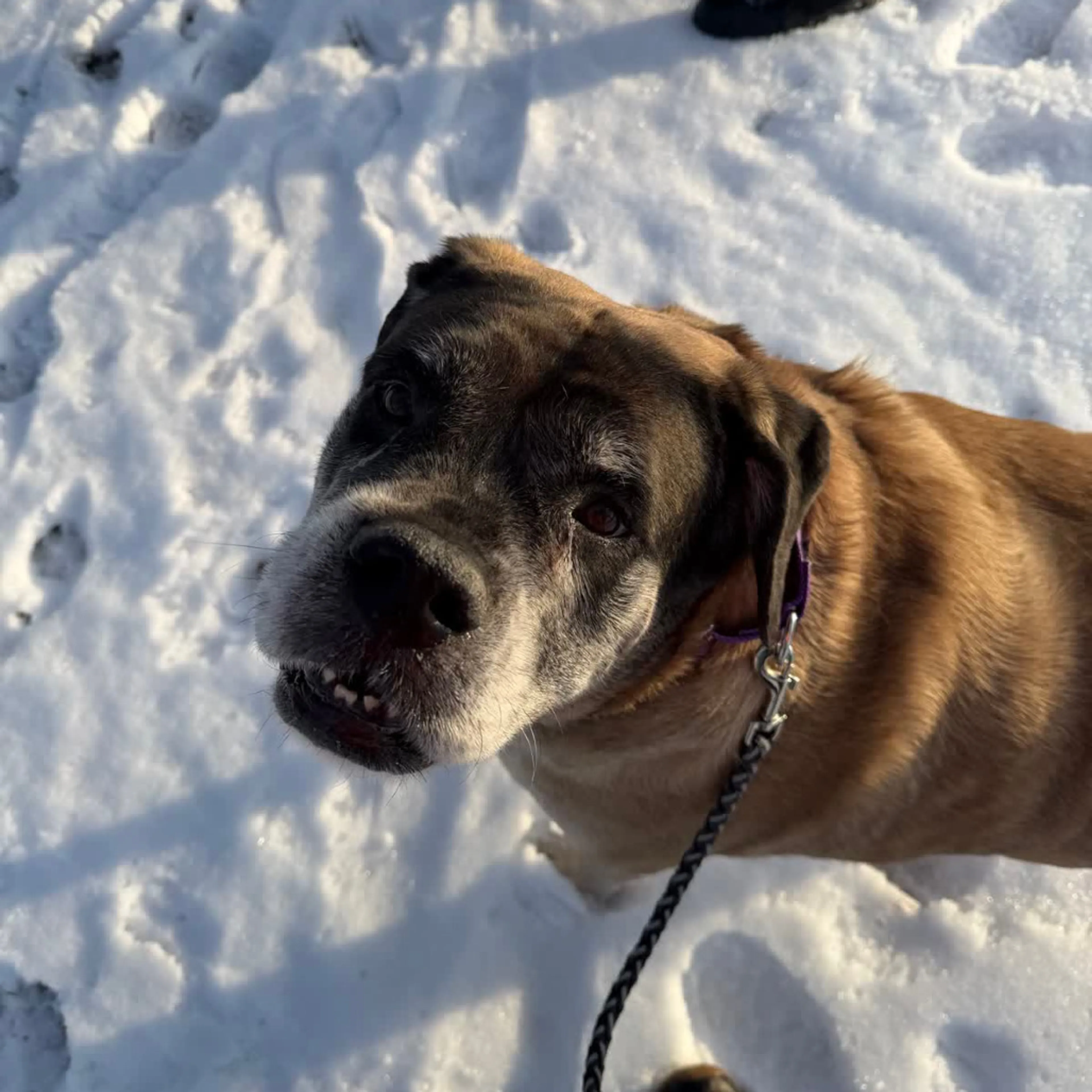 -12