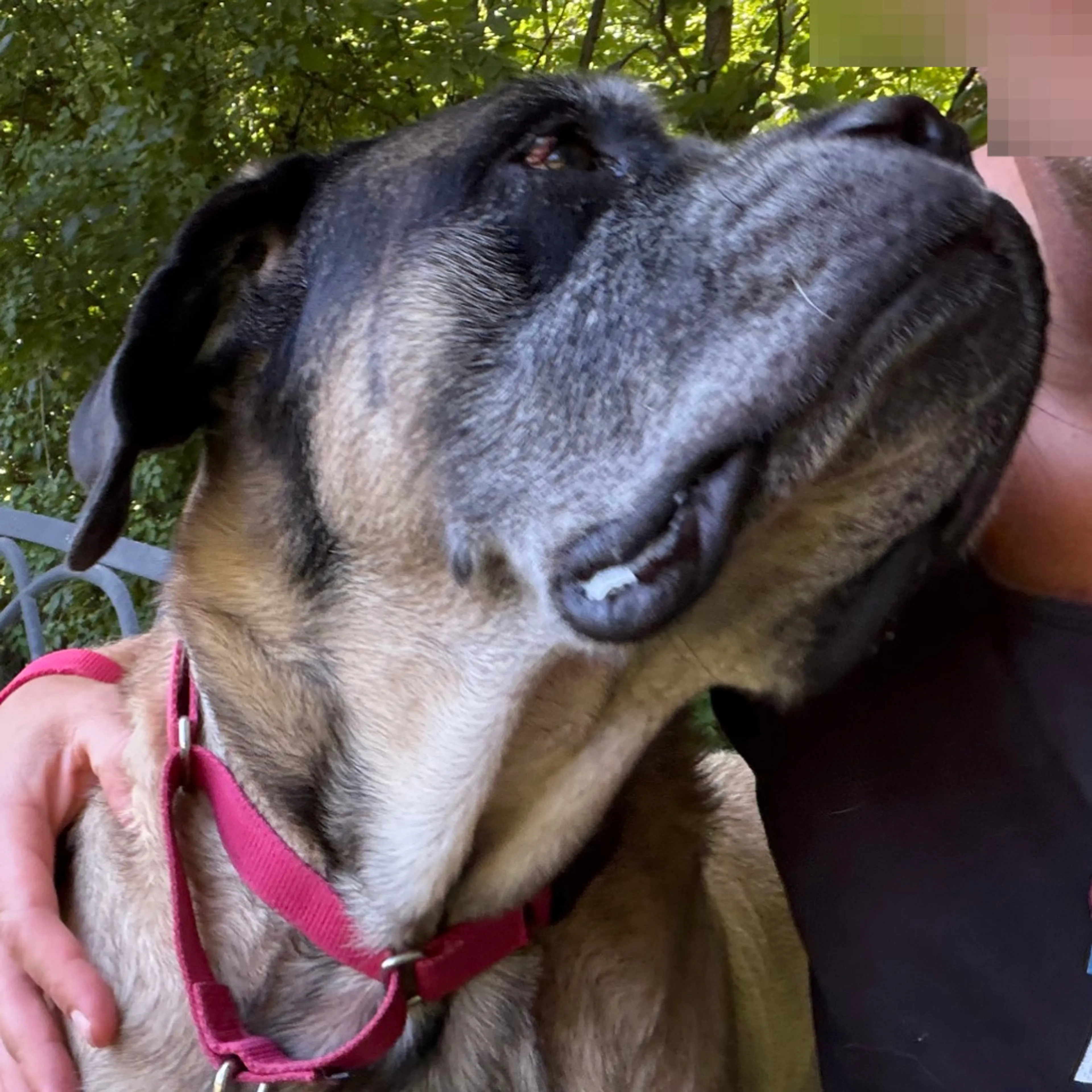 -16