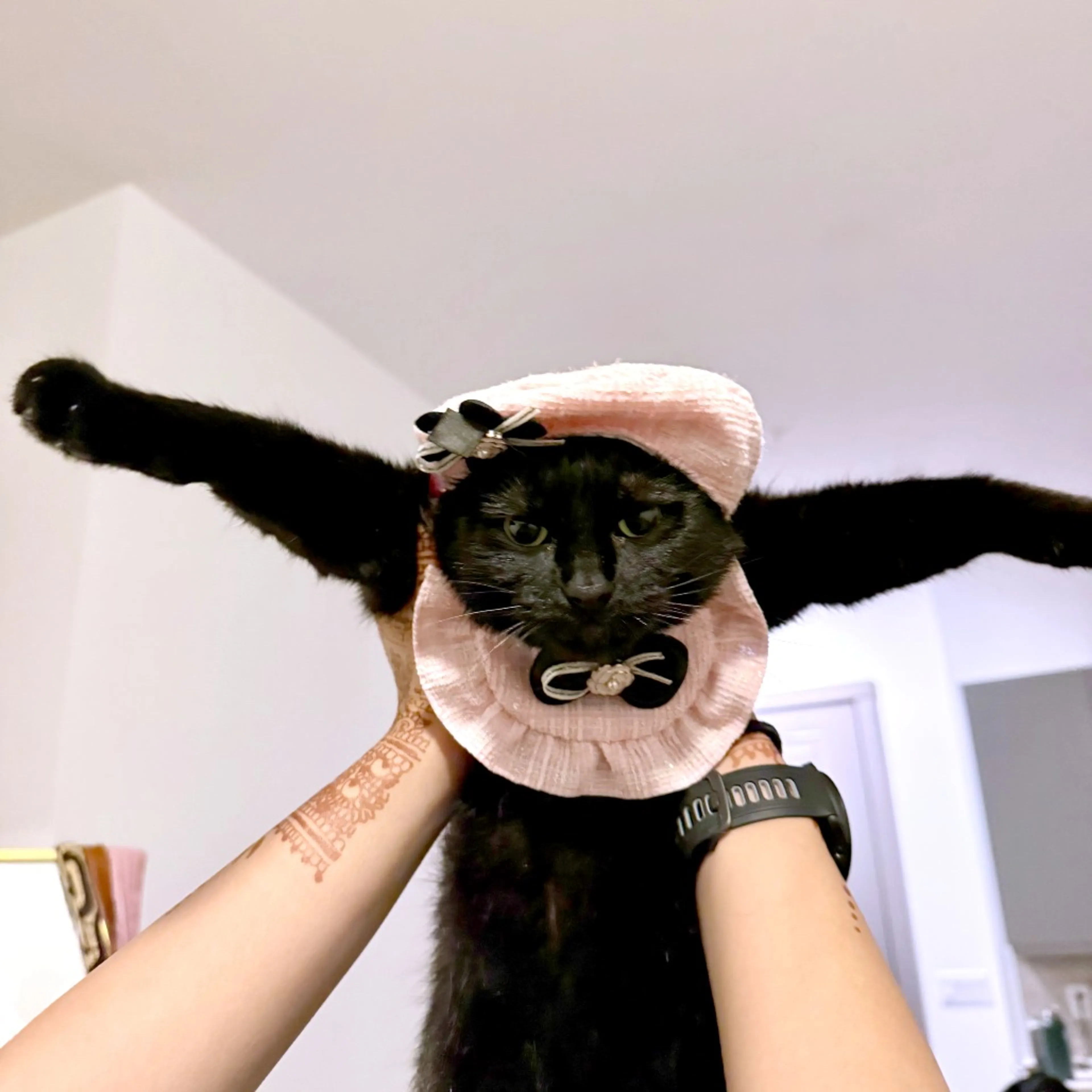 Found pet-9