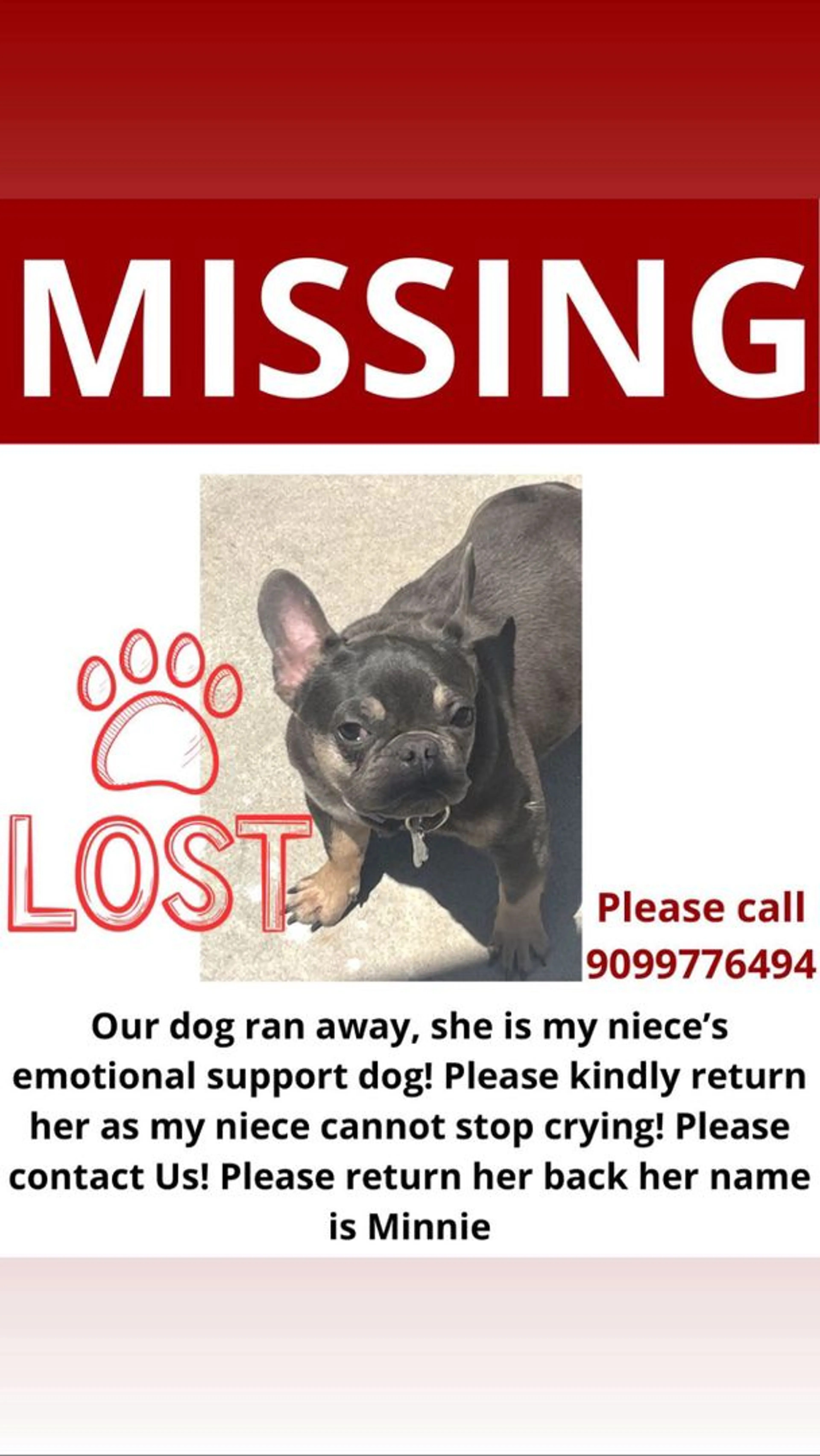 Lost pet