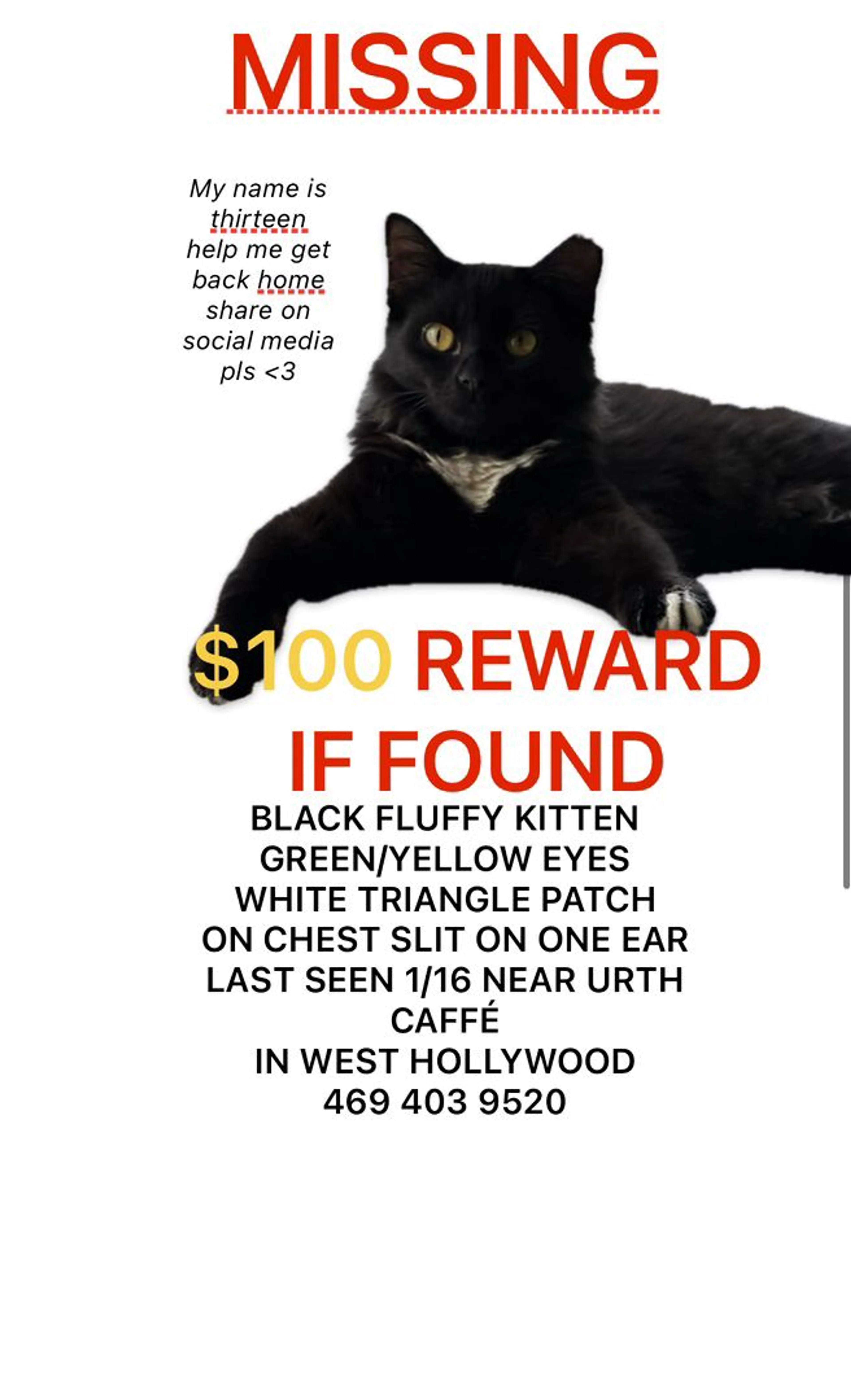 Lost pet-0