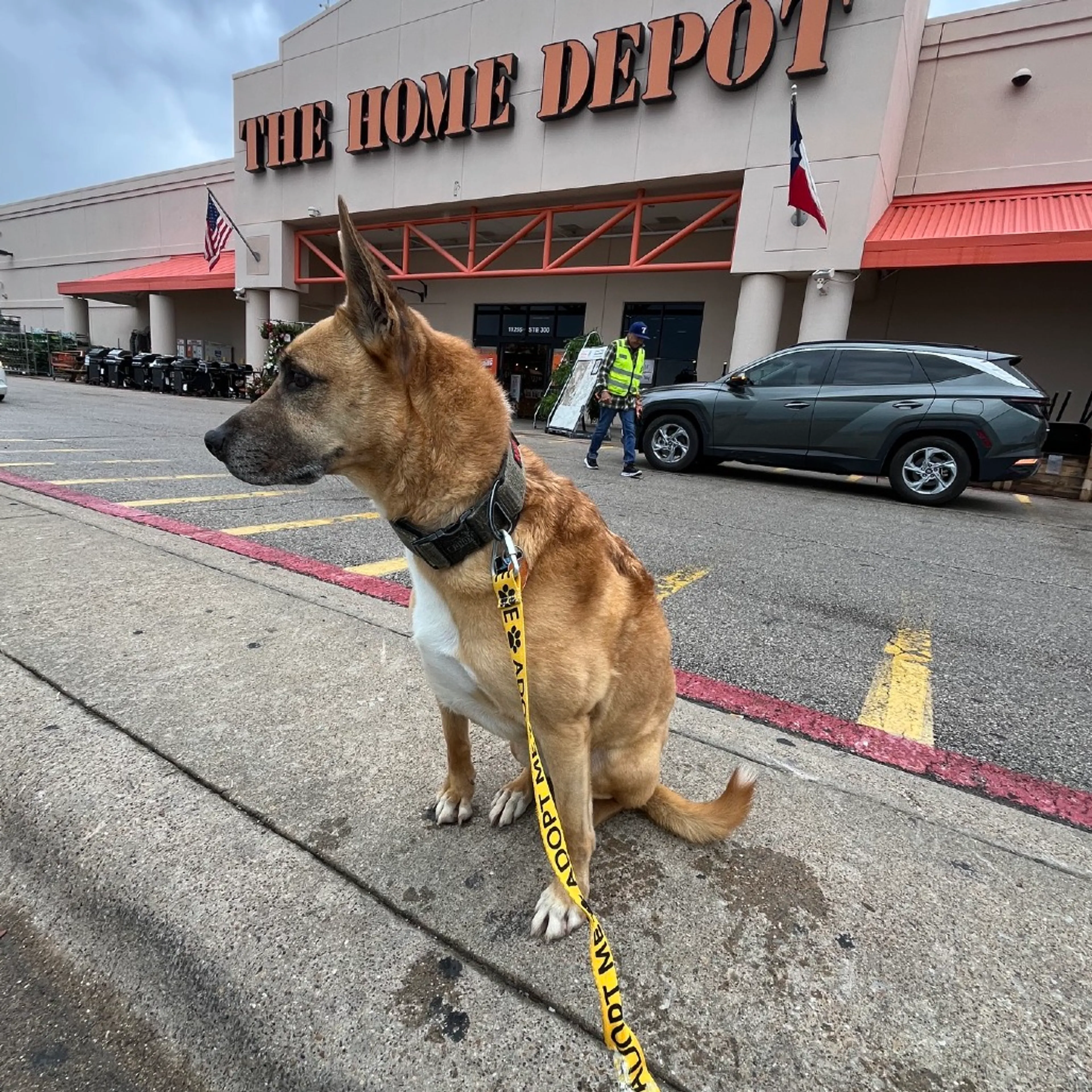 Found pet-27