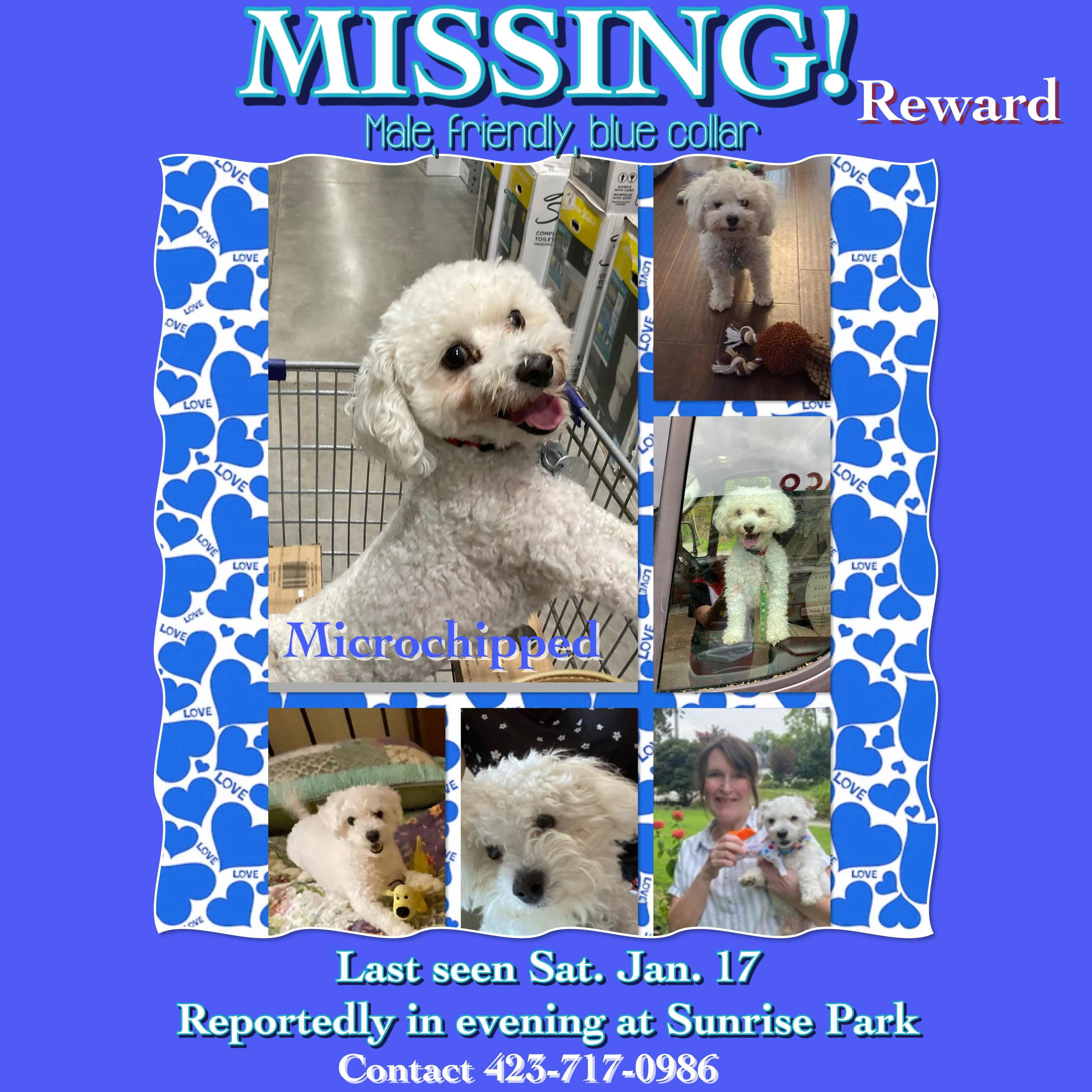 Lost pet