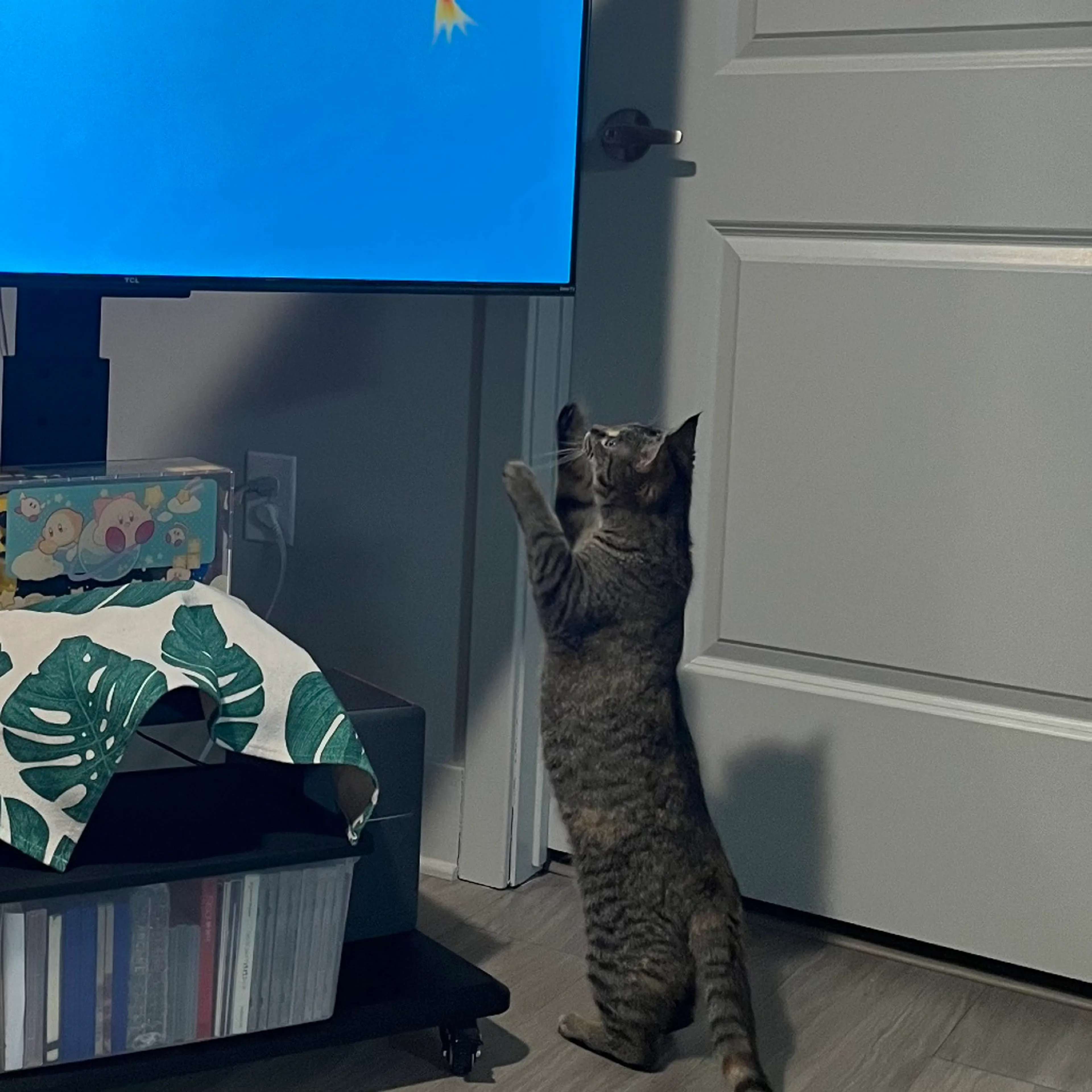 Found pet-2