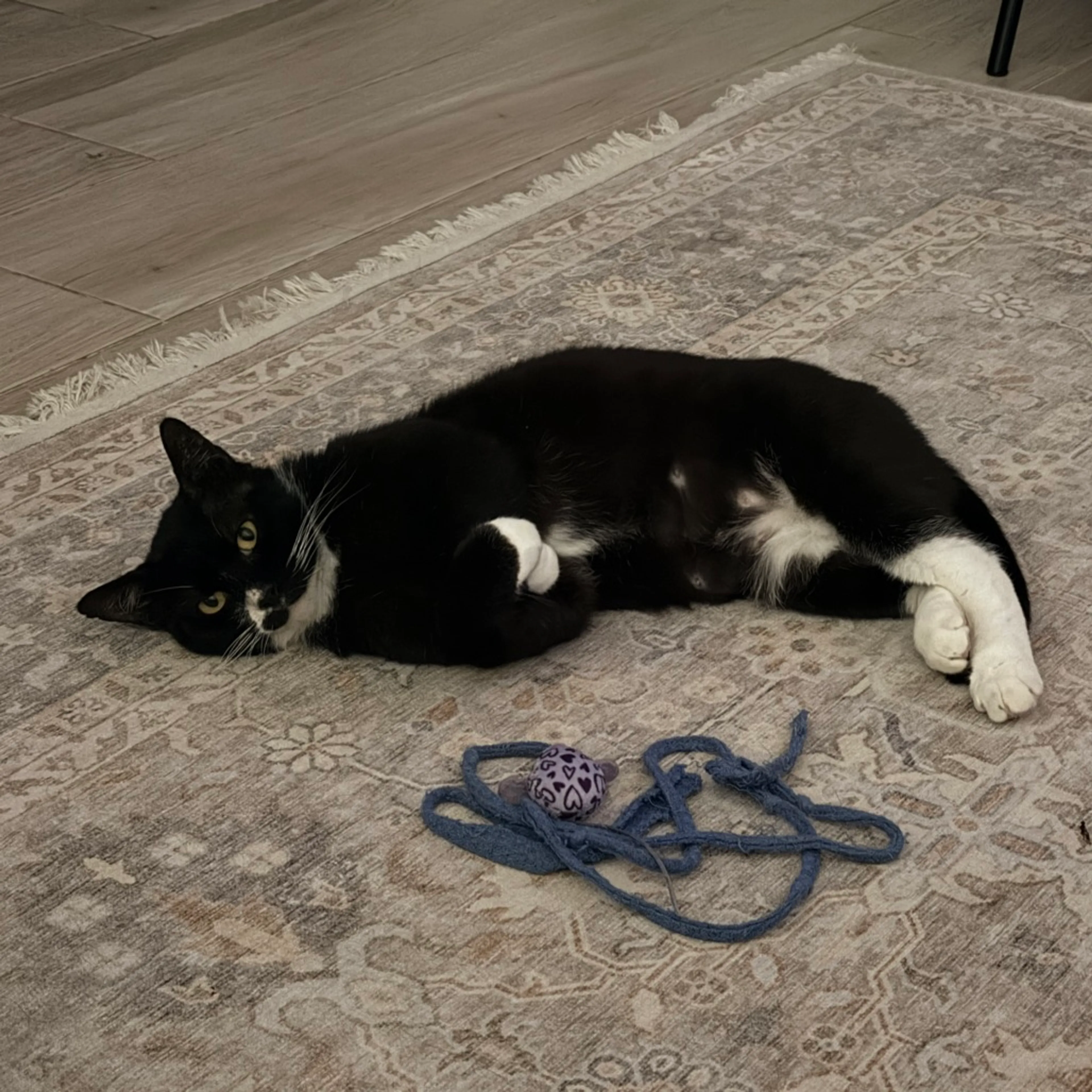 -6