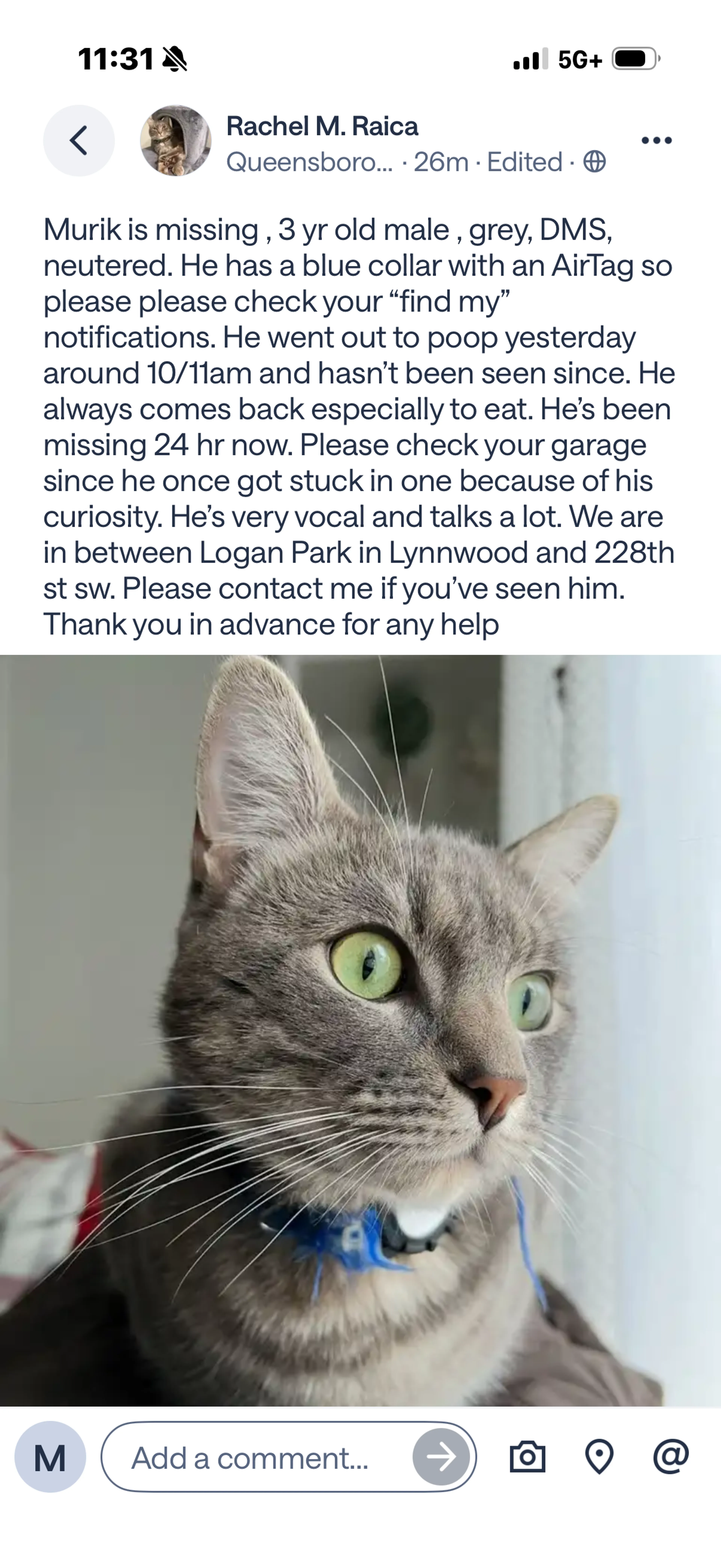 Lost pet