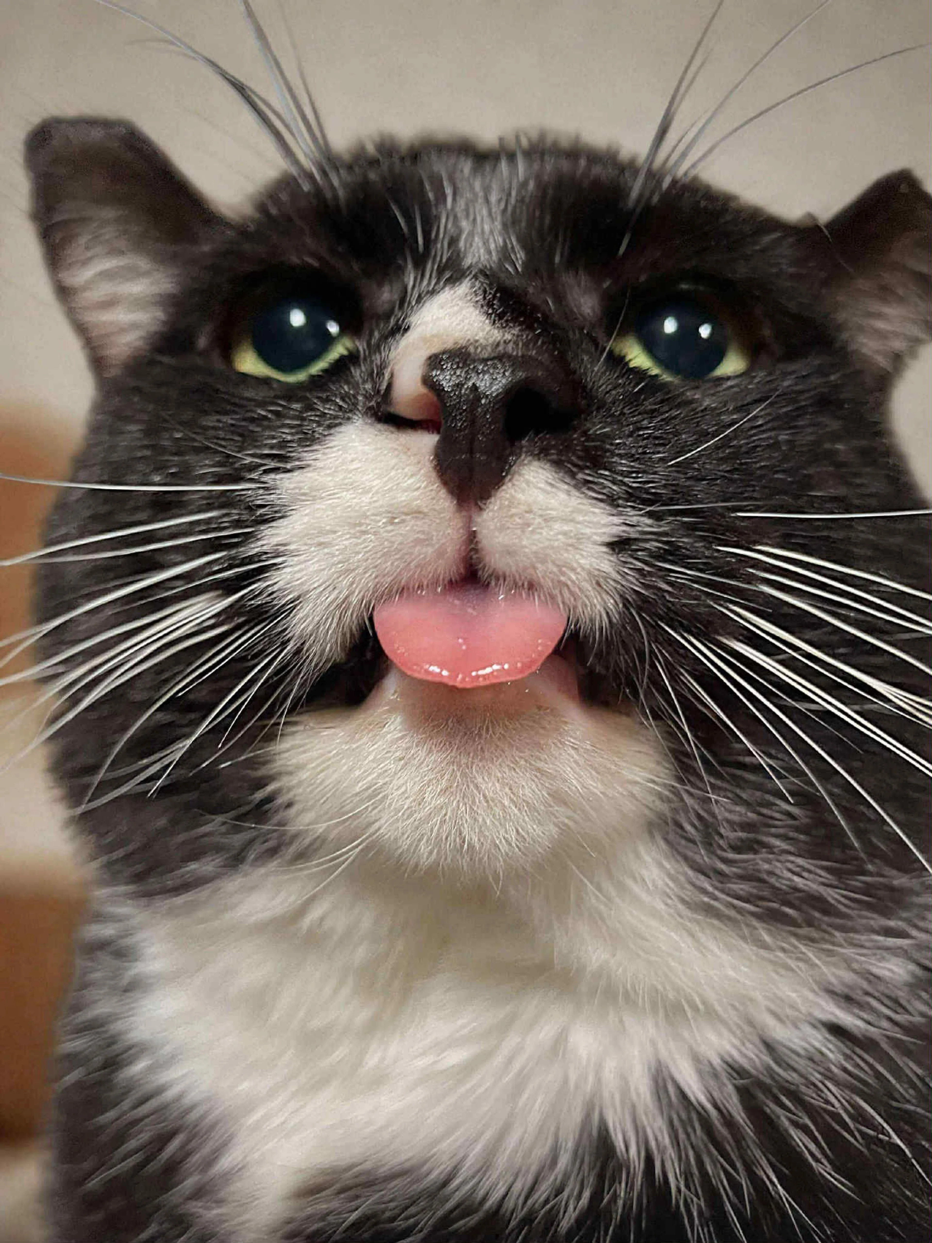 -4