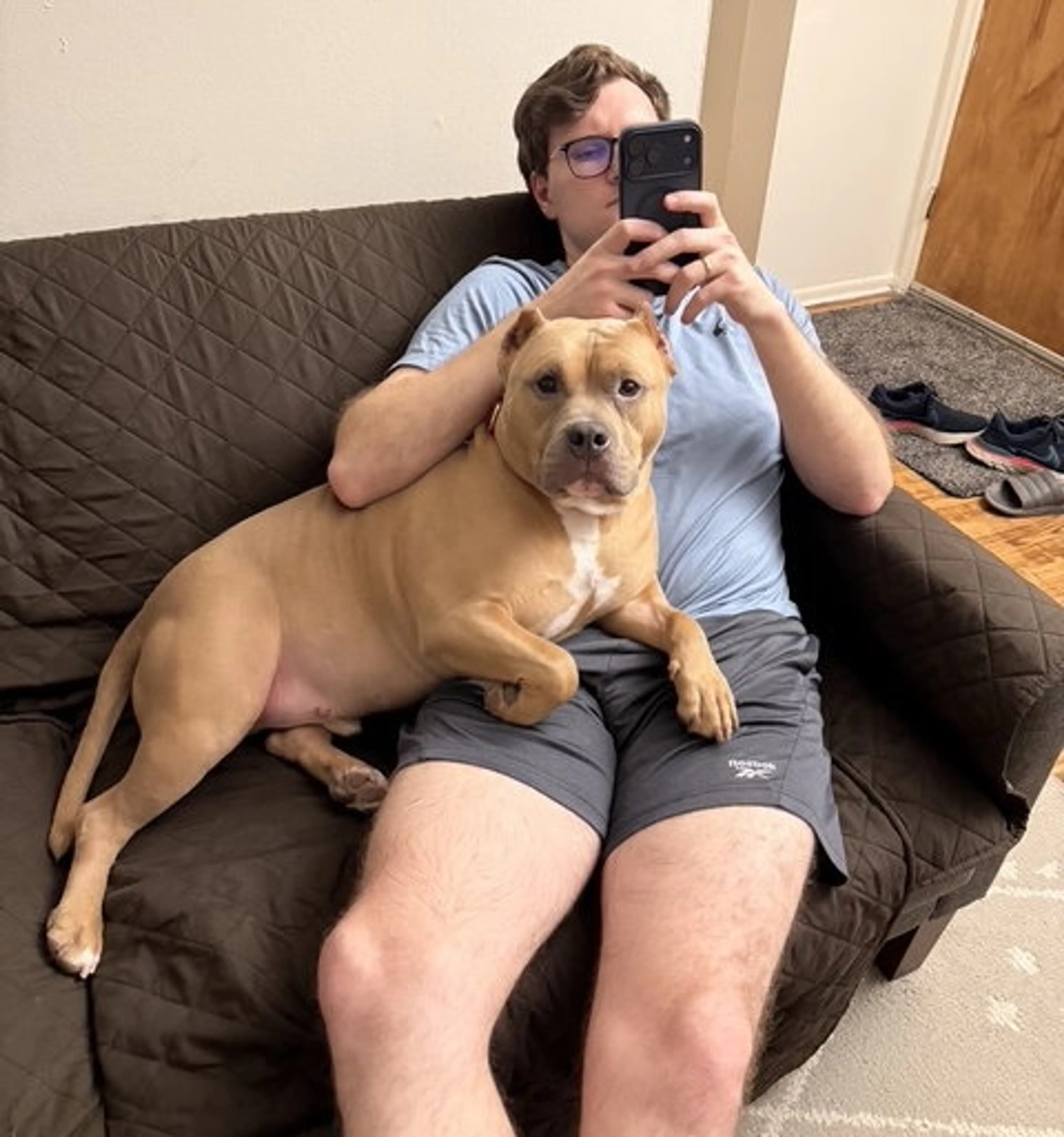 Found pet-5
