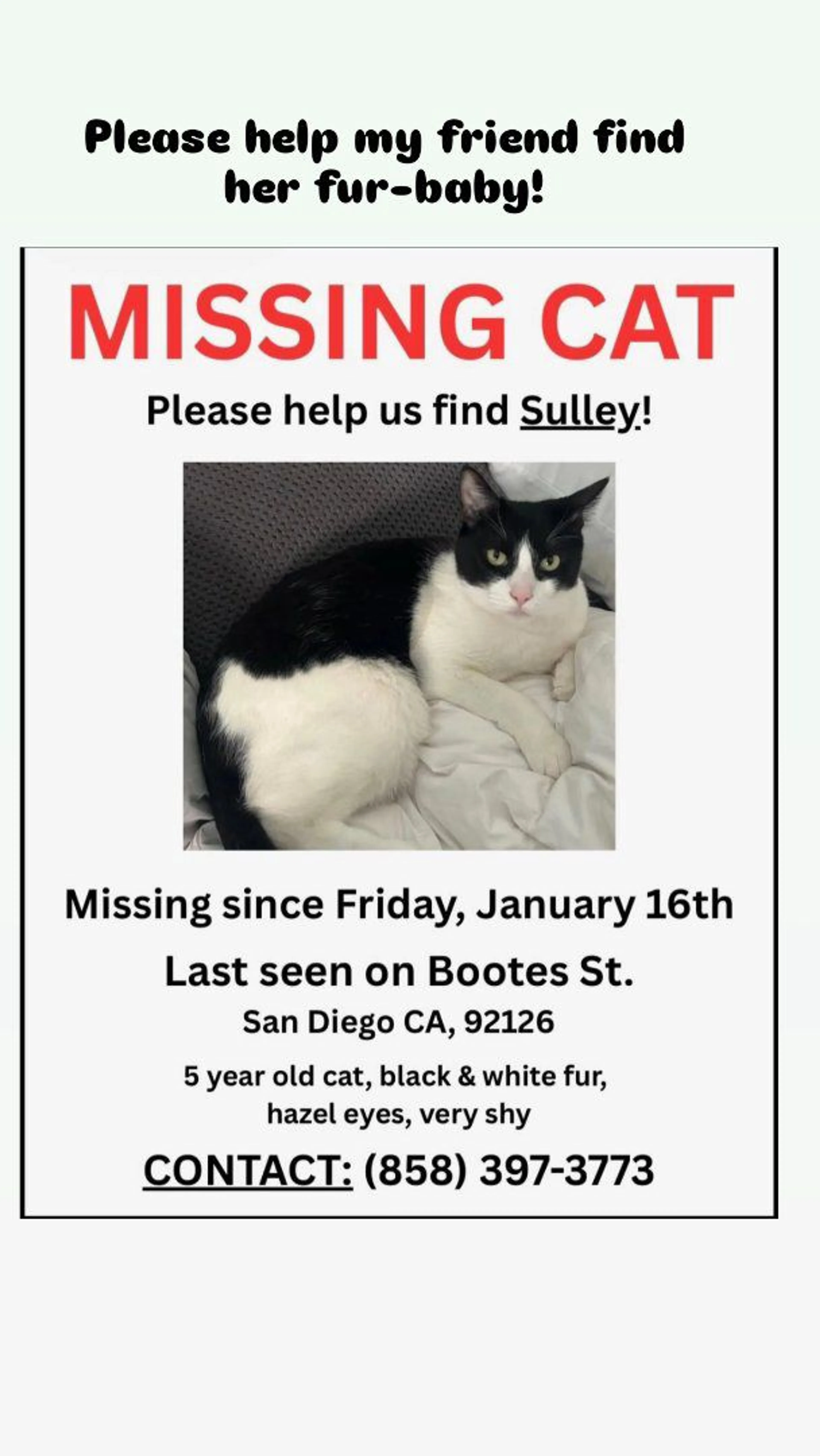 Lost pet