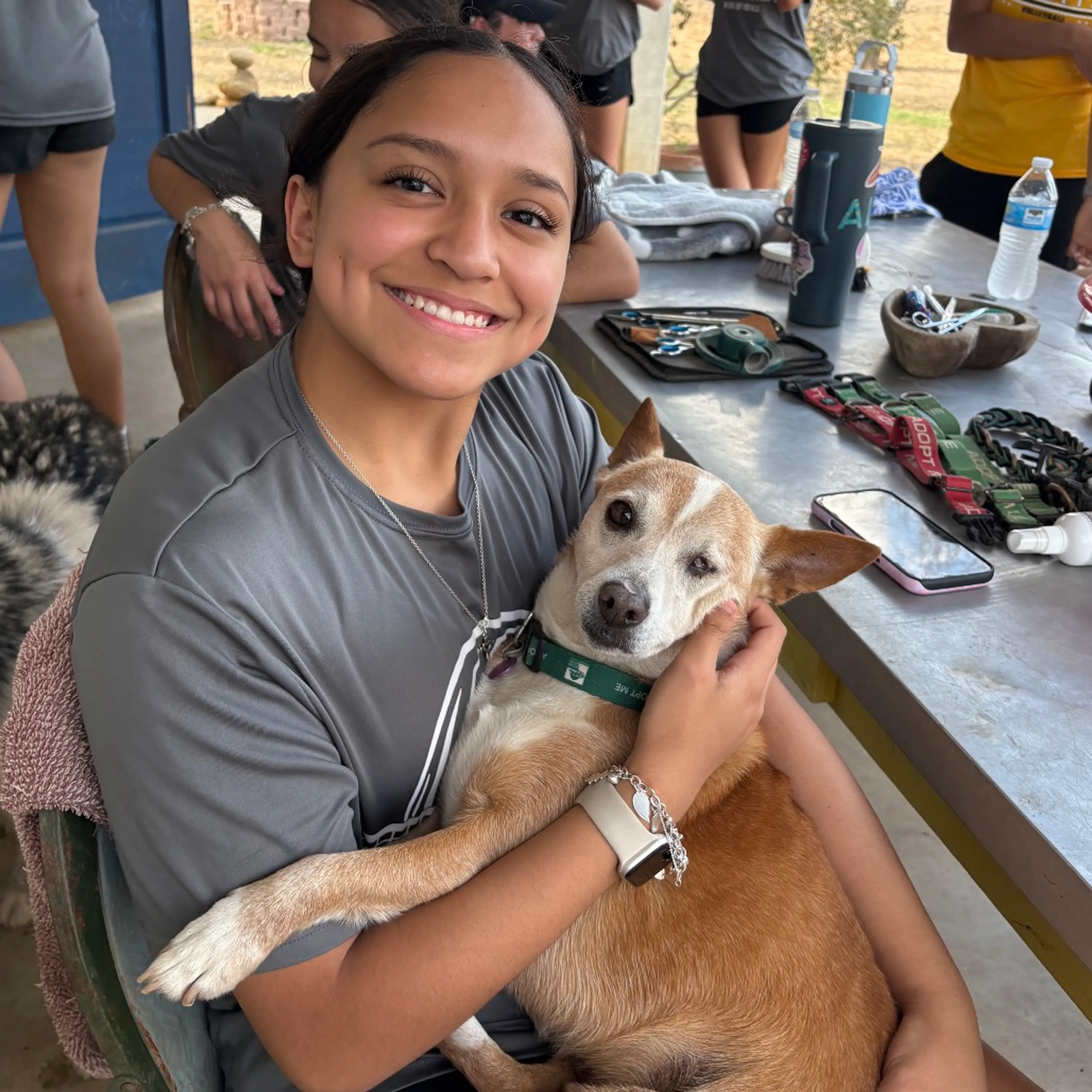 Found pet-19