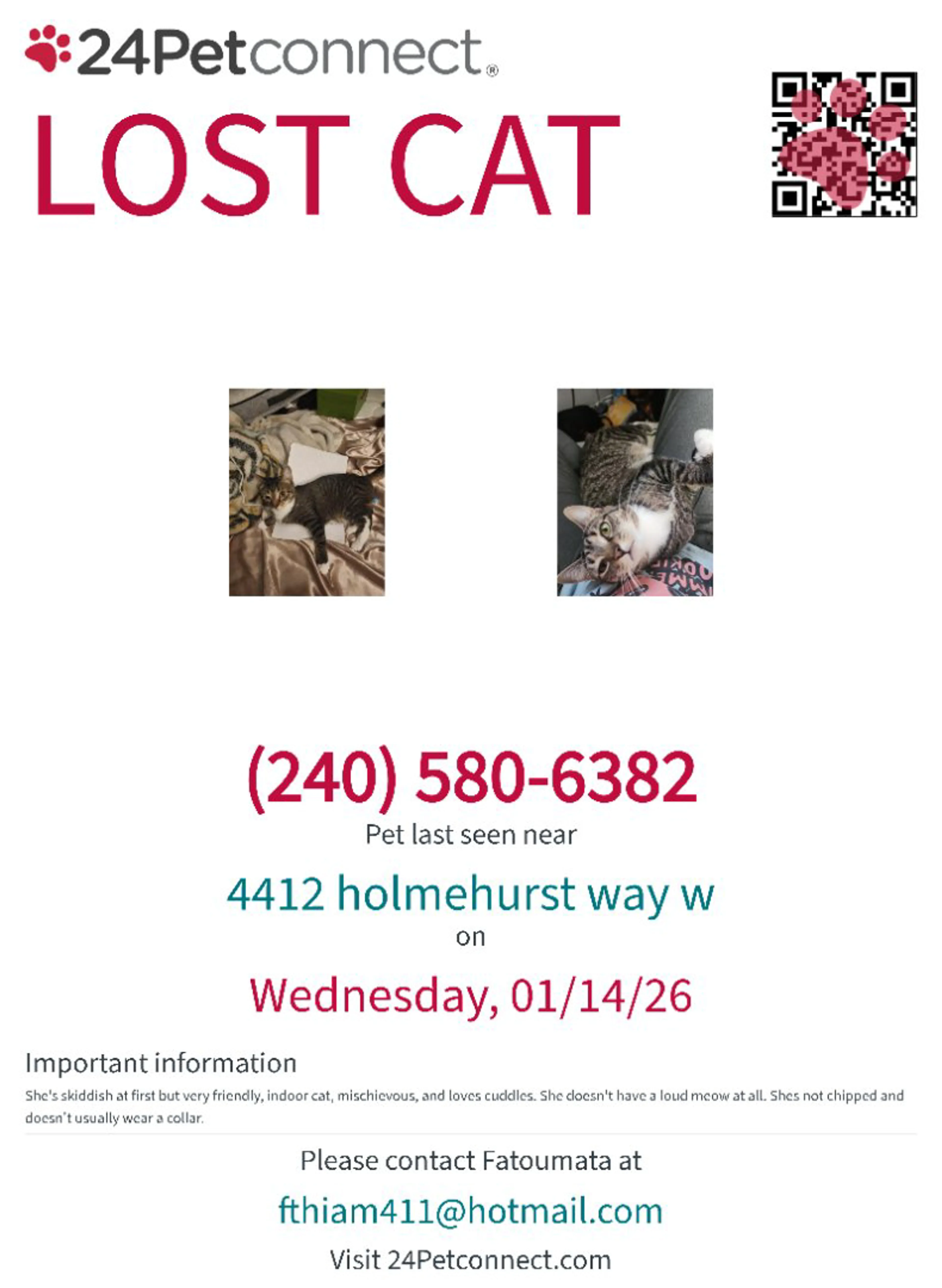 Lost pet-1