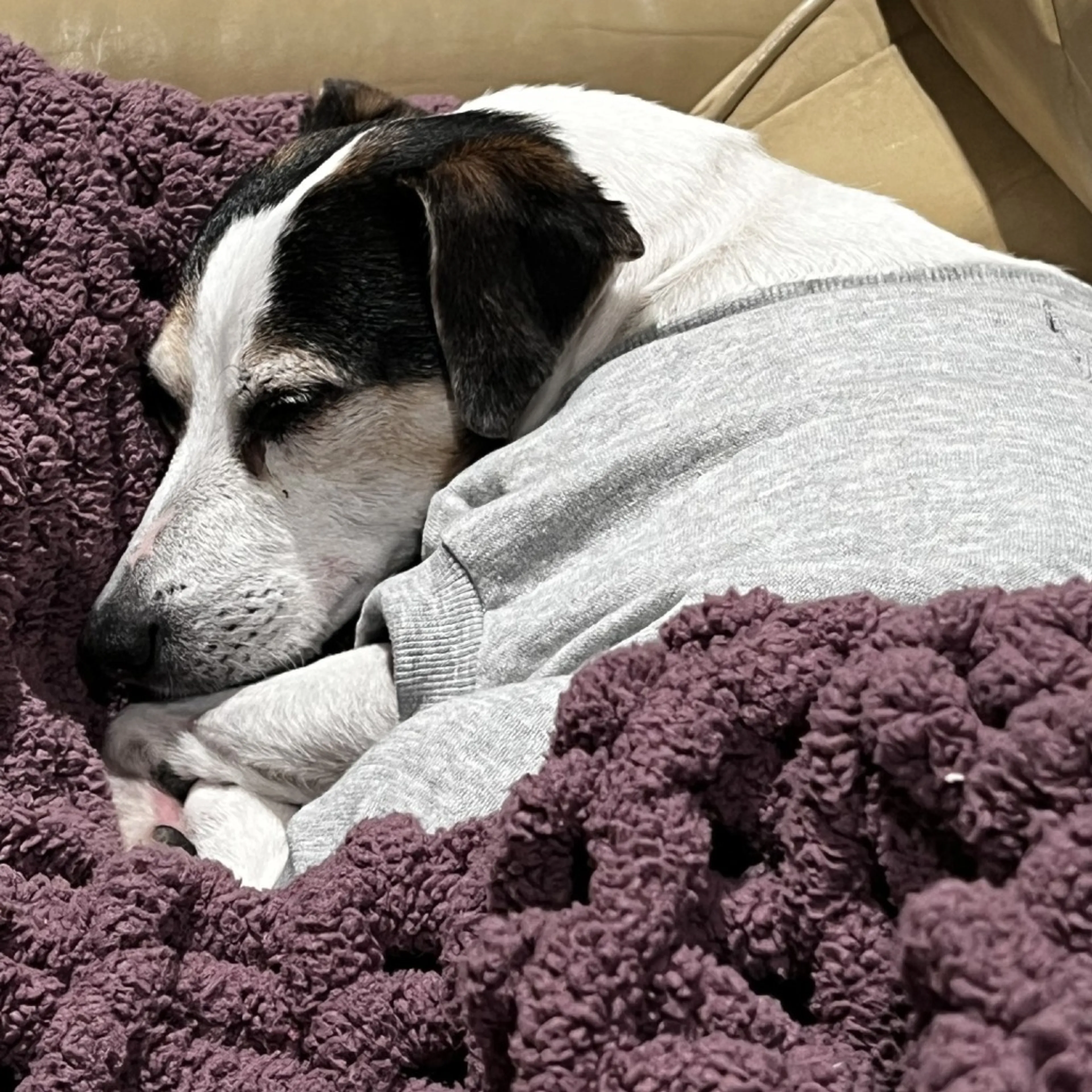-8