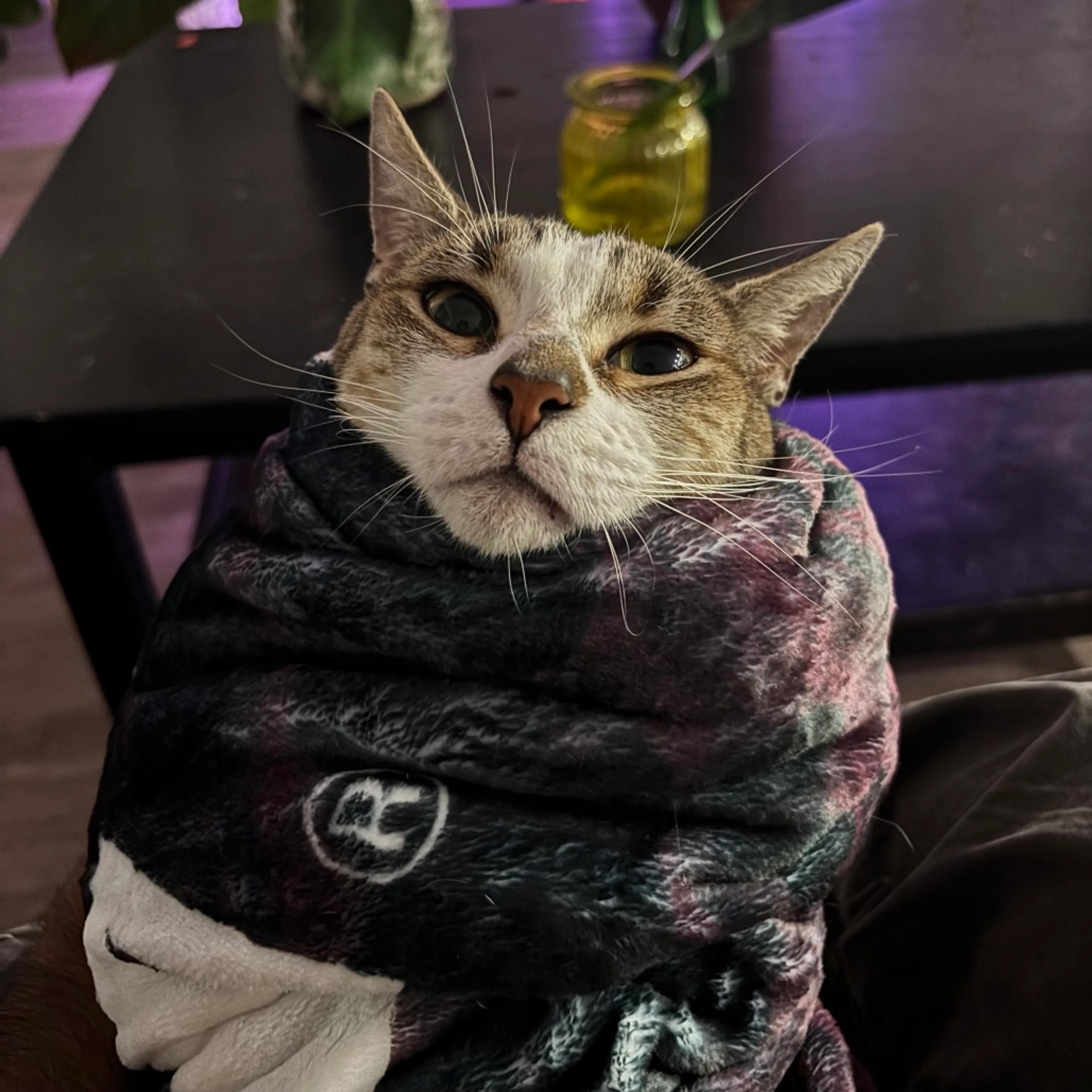 -9