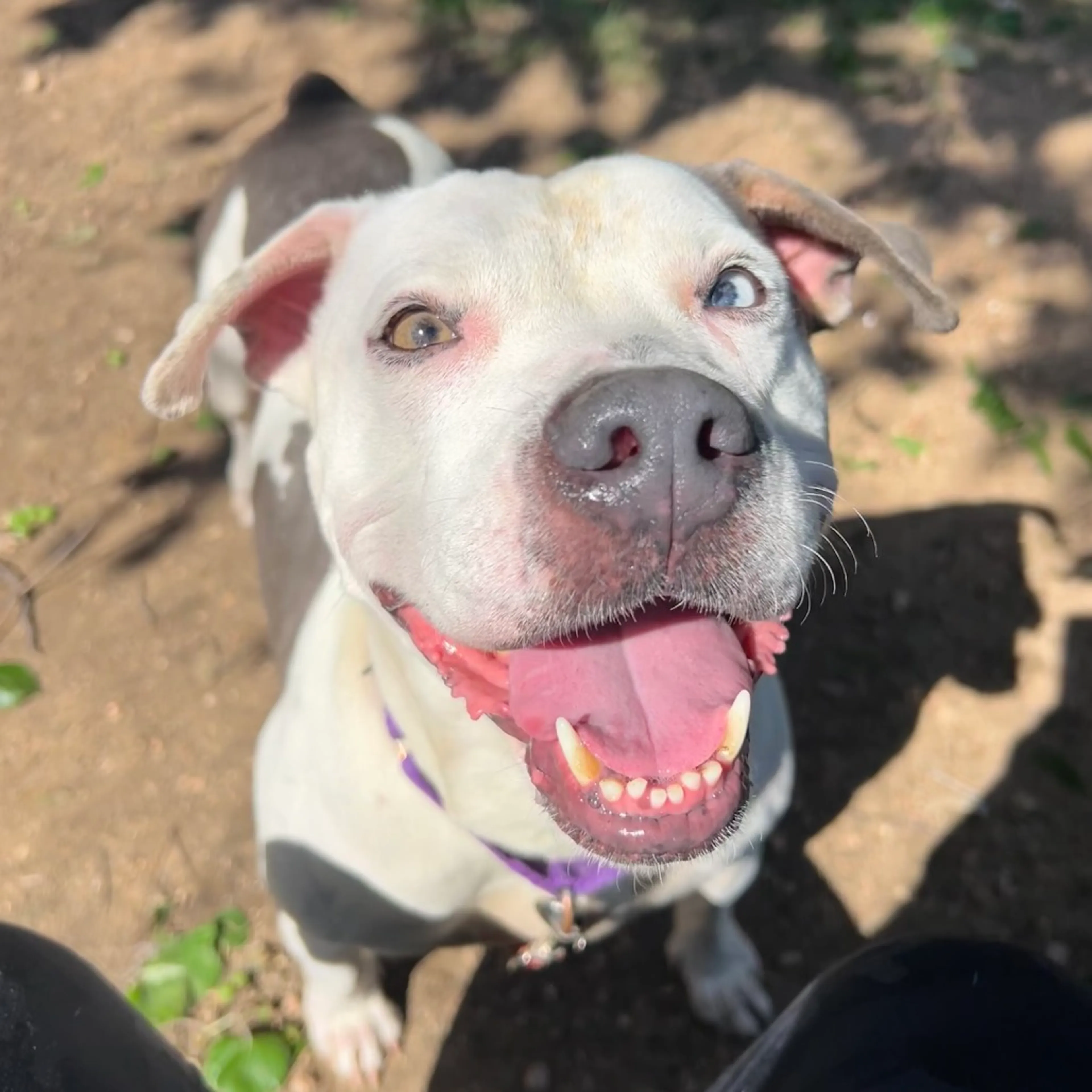 -6