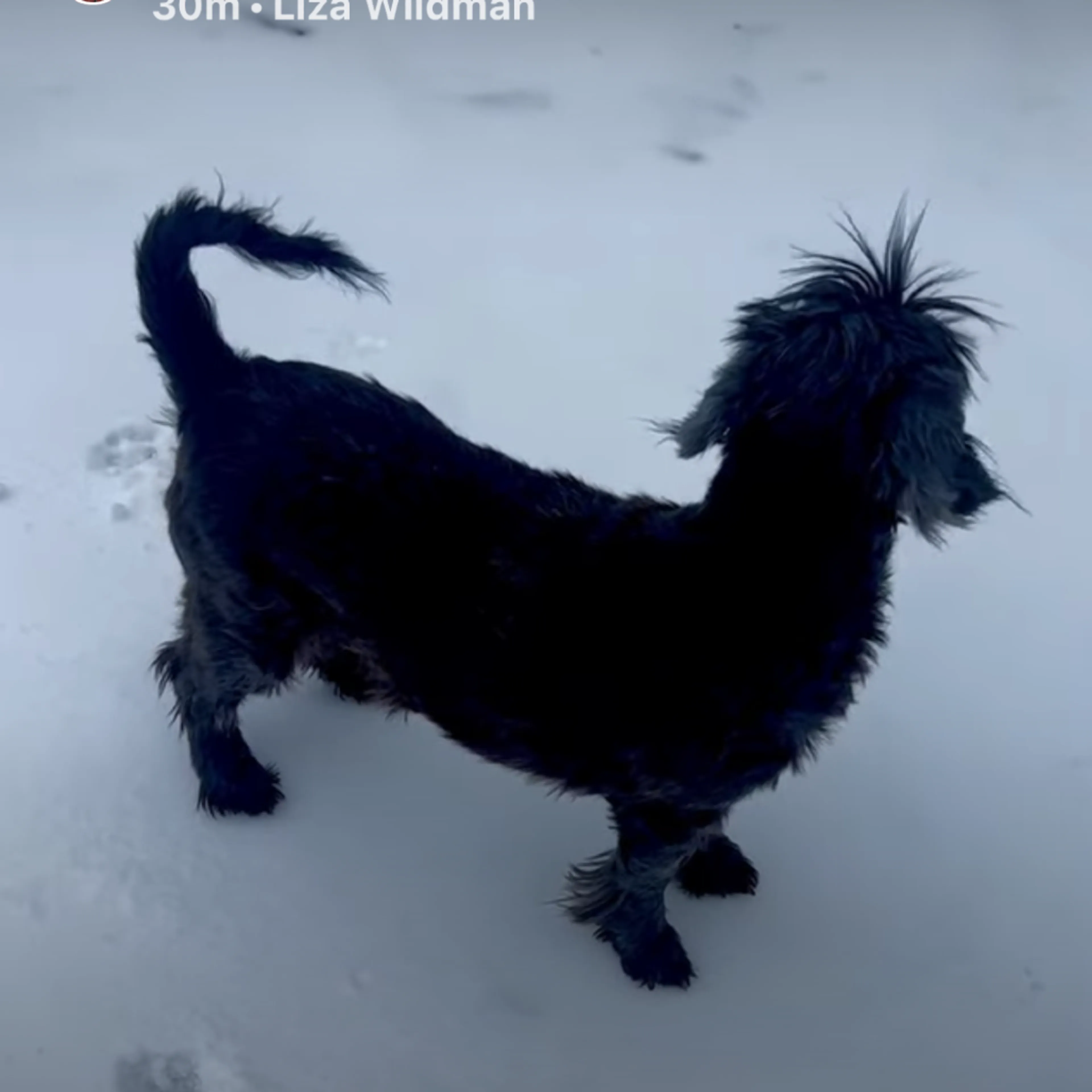 -12