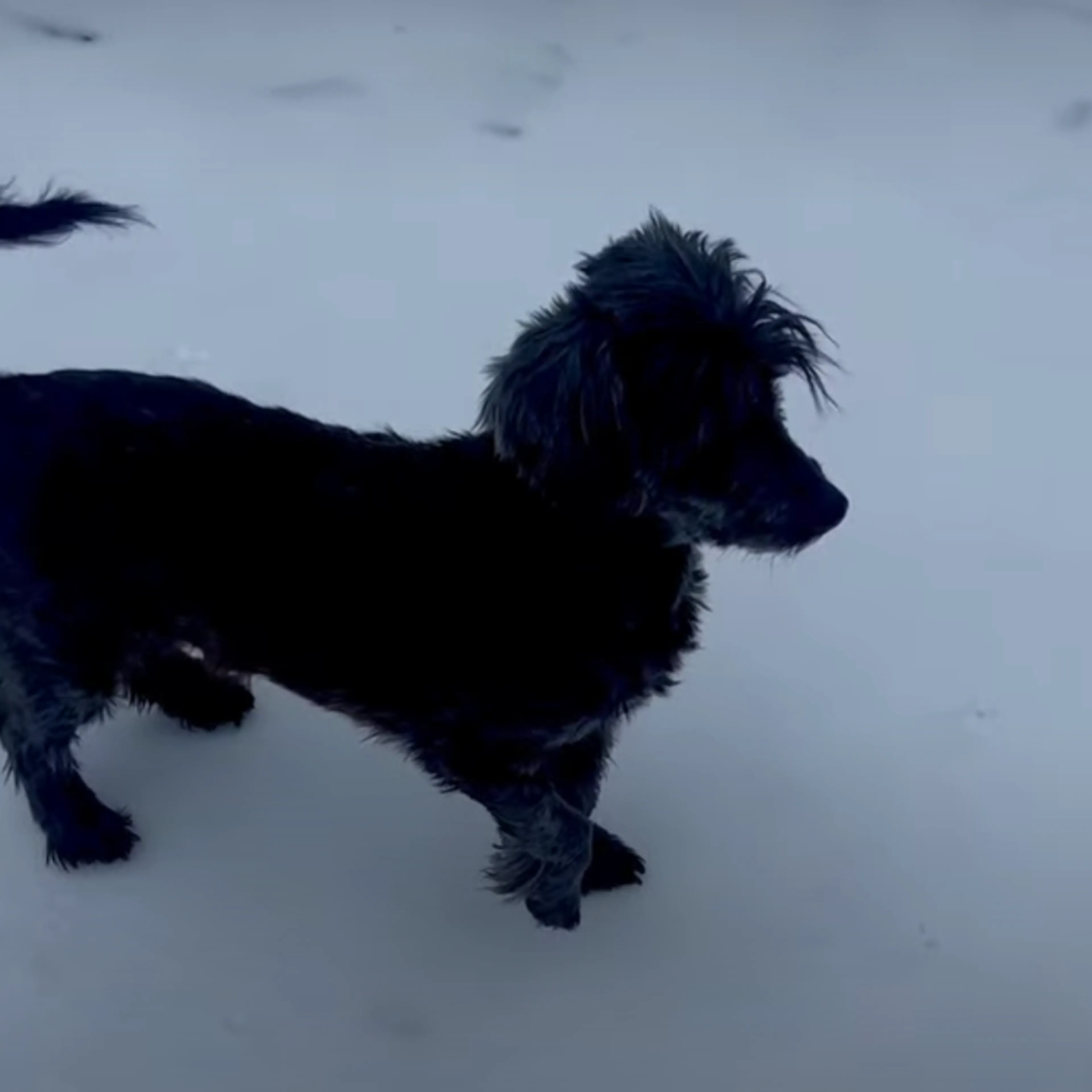 -11