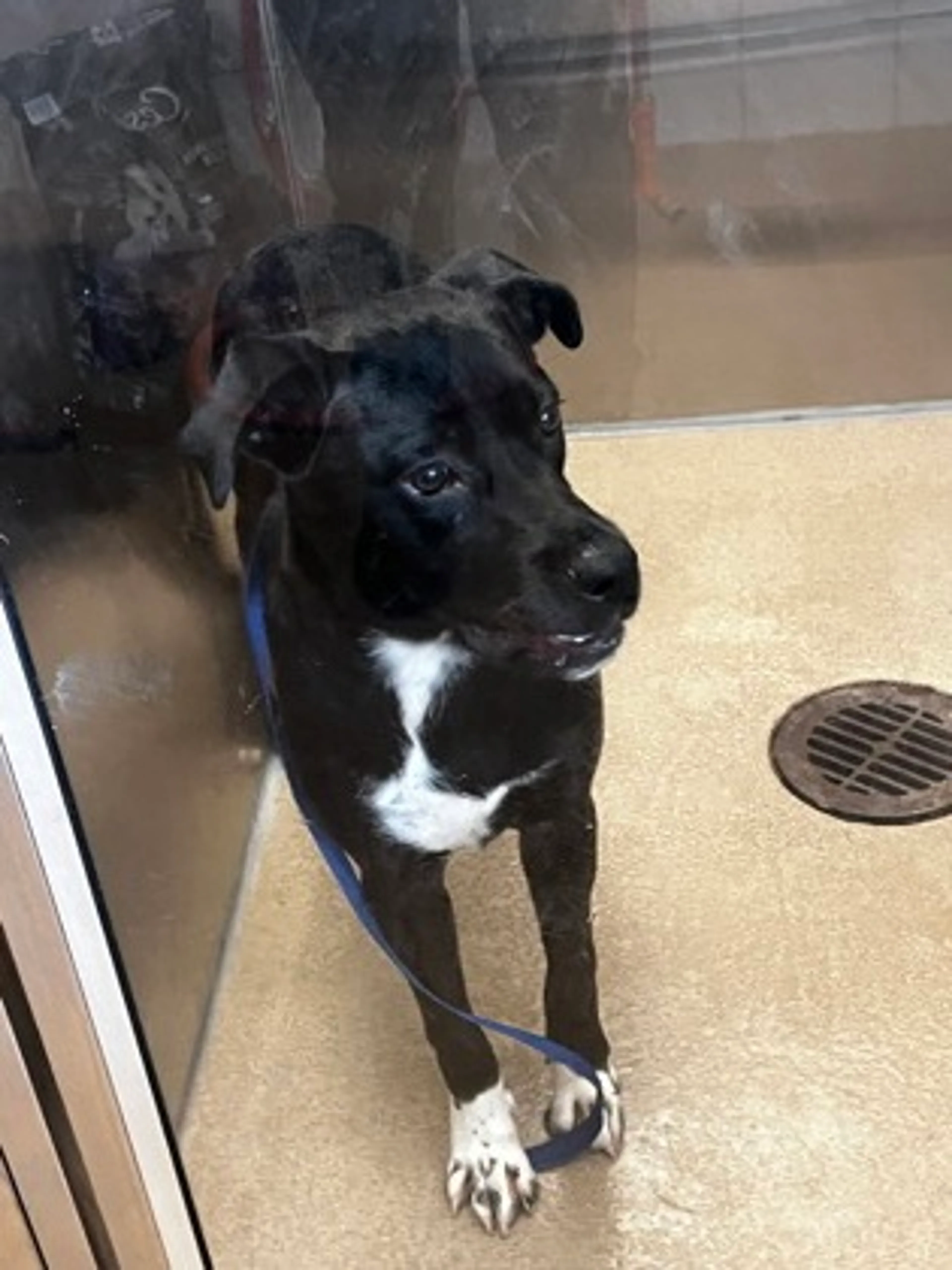 -1