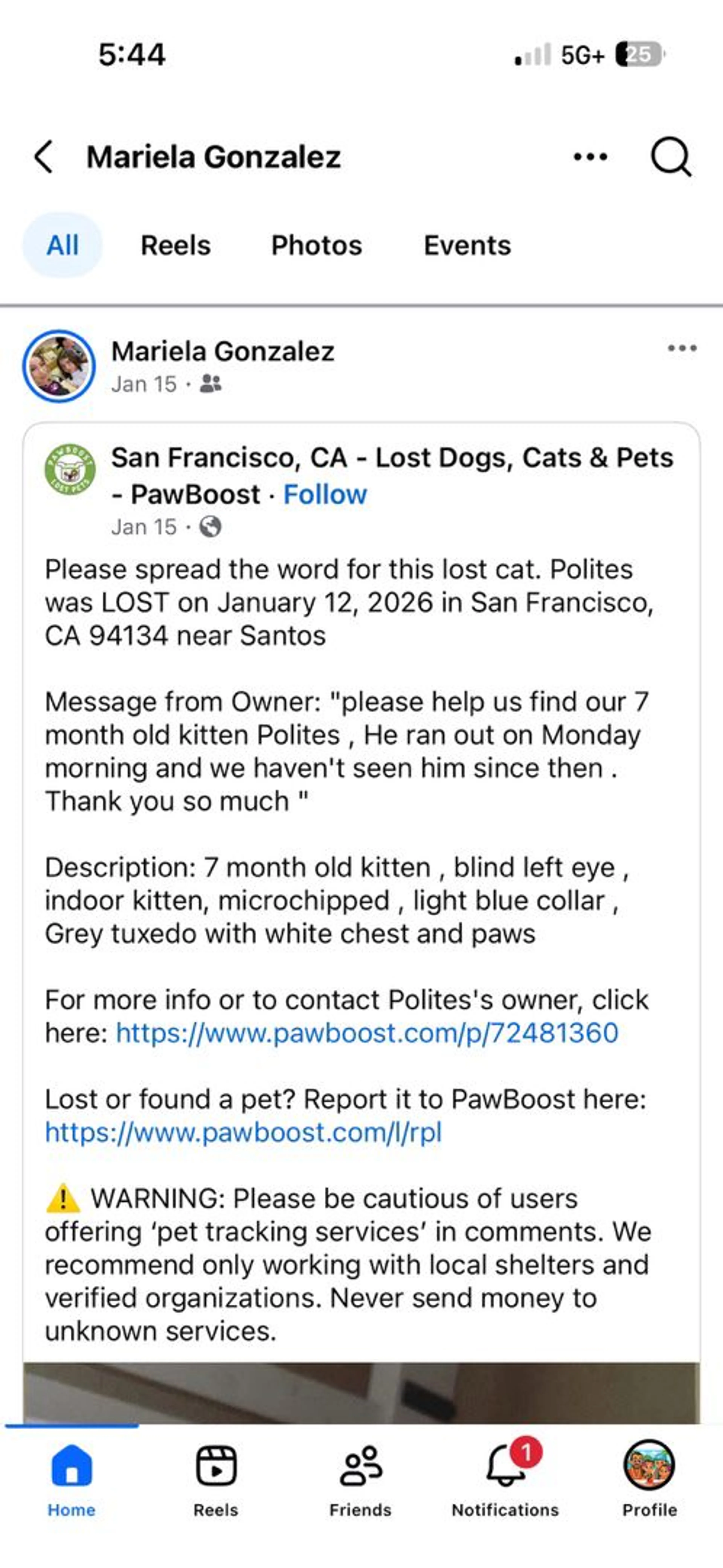 Lost pet-1
