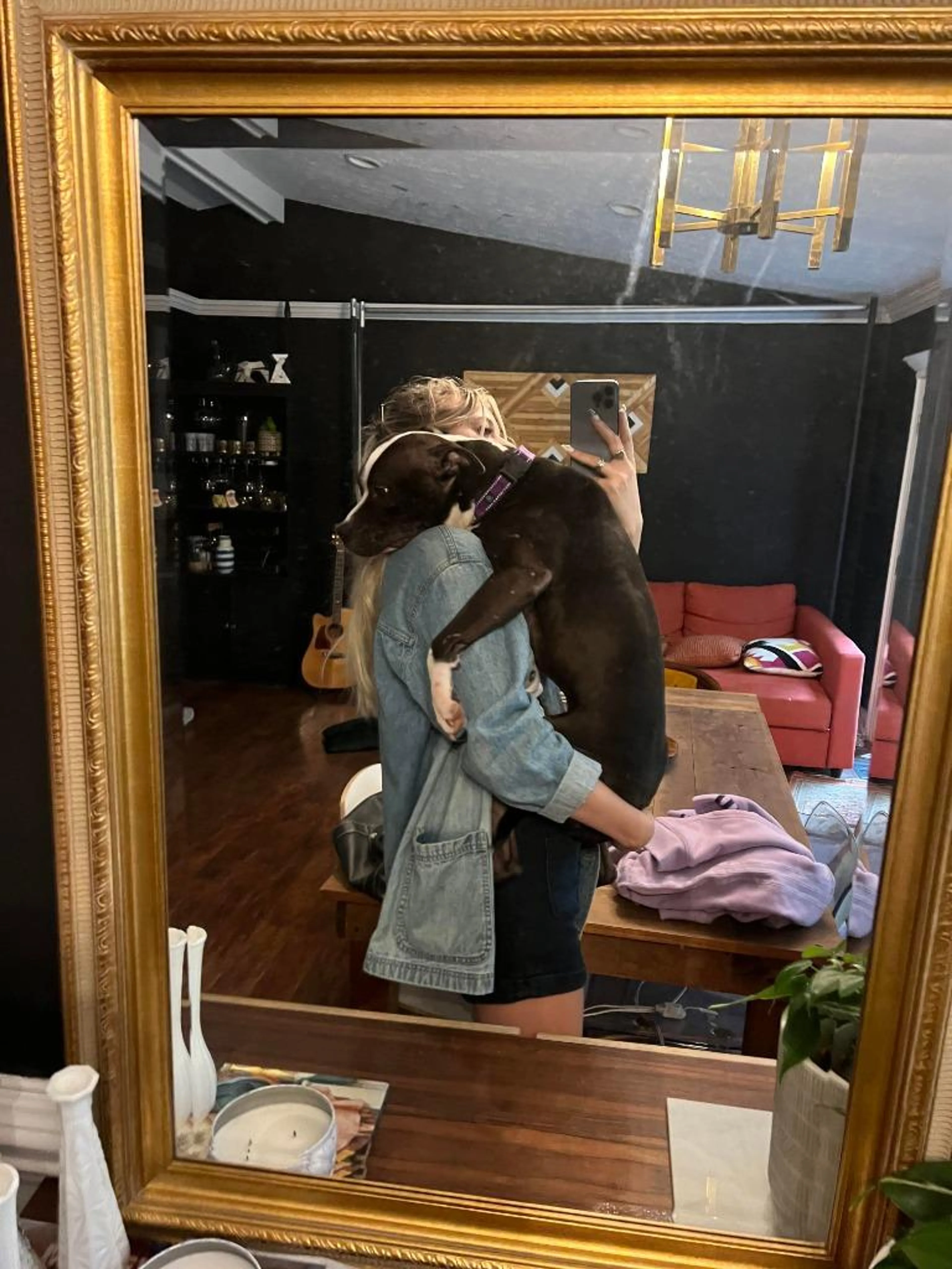 Found pet-1