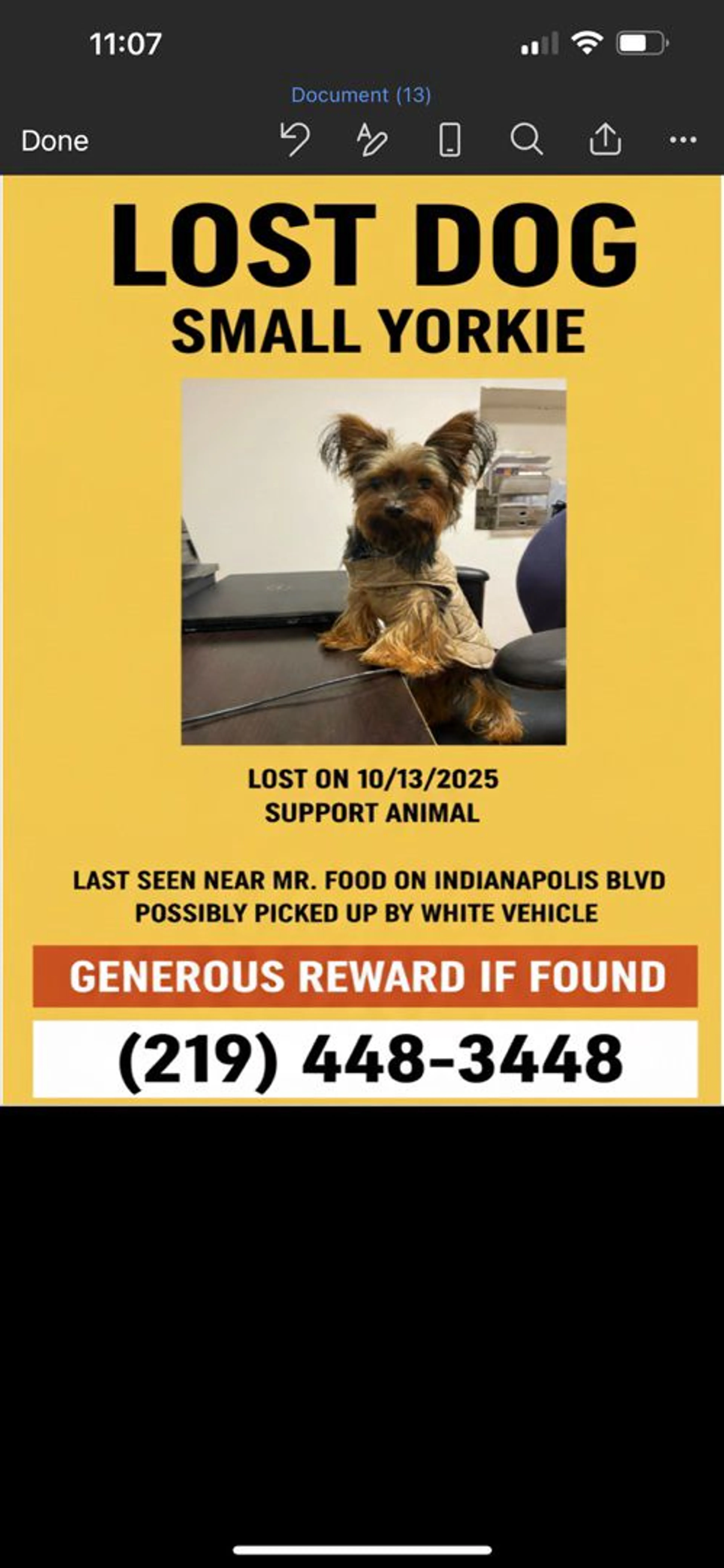 Lost pet-4