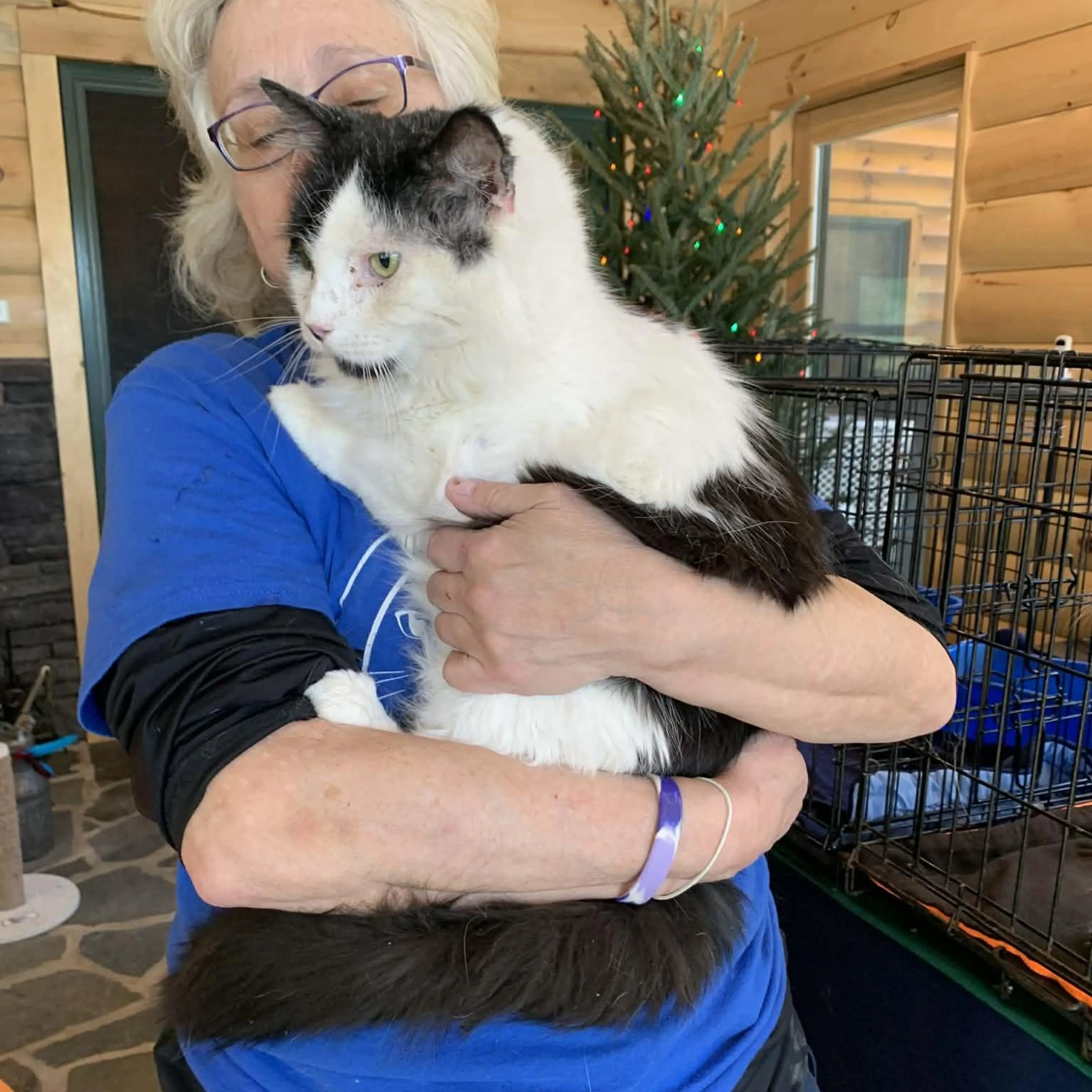Found pet-1
