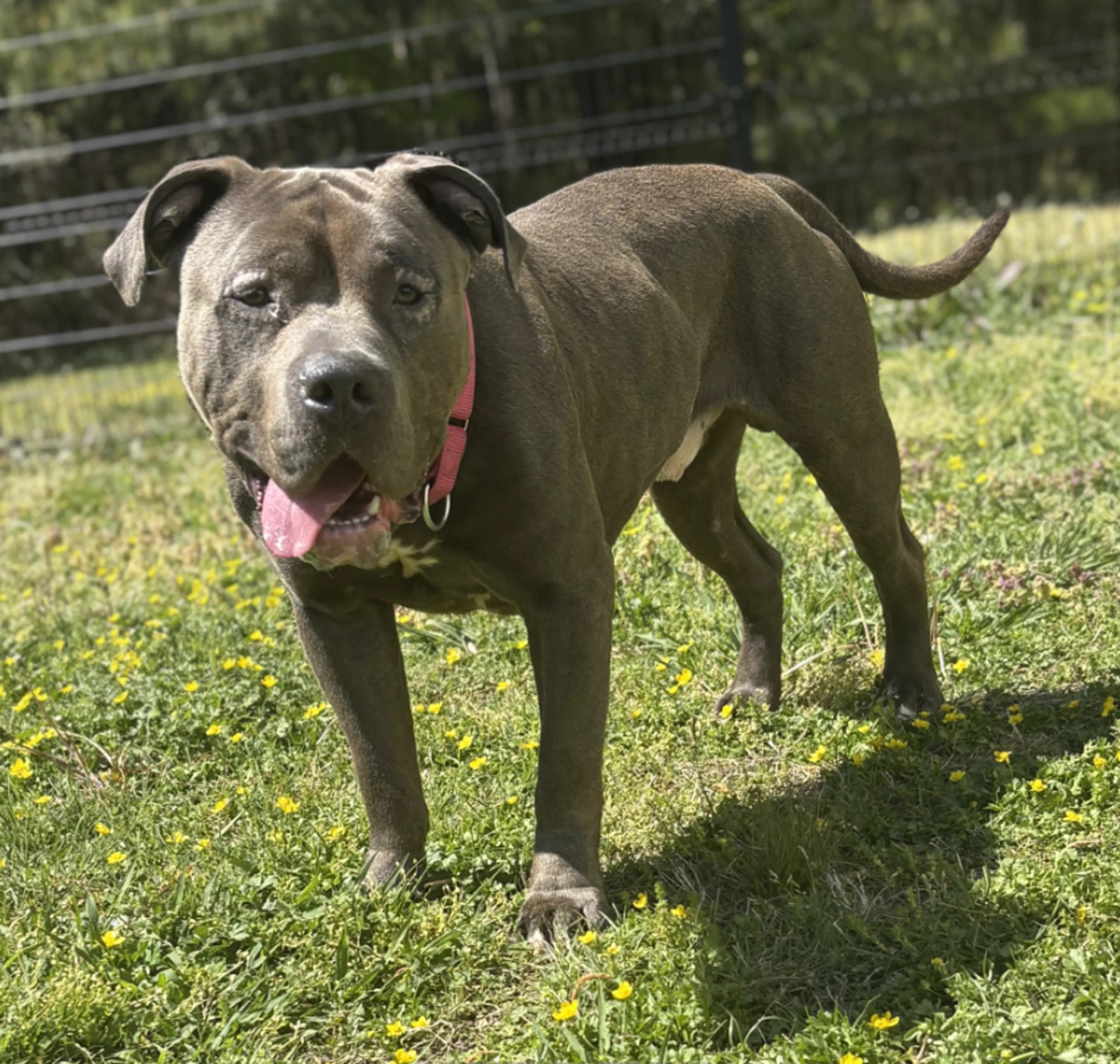 -3