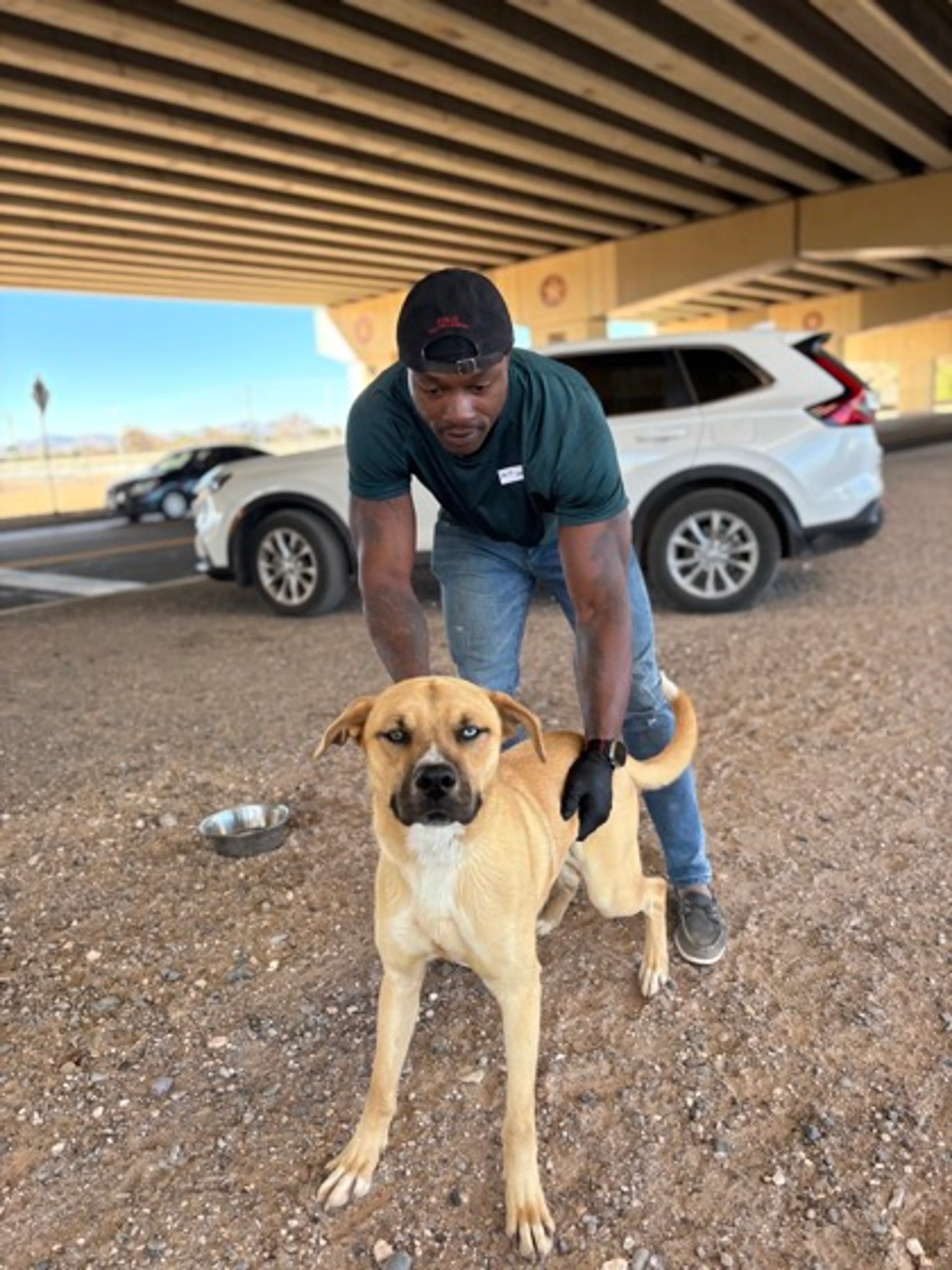 Found pet-1