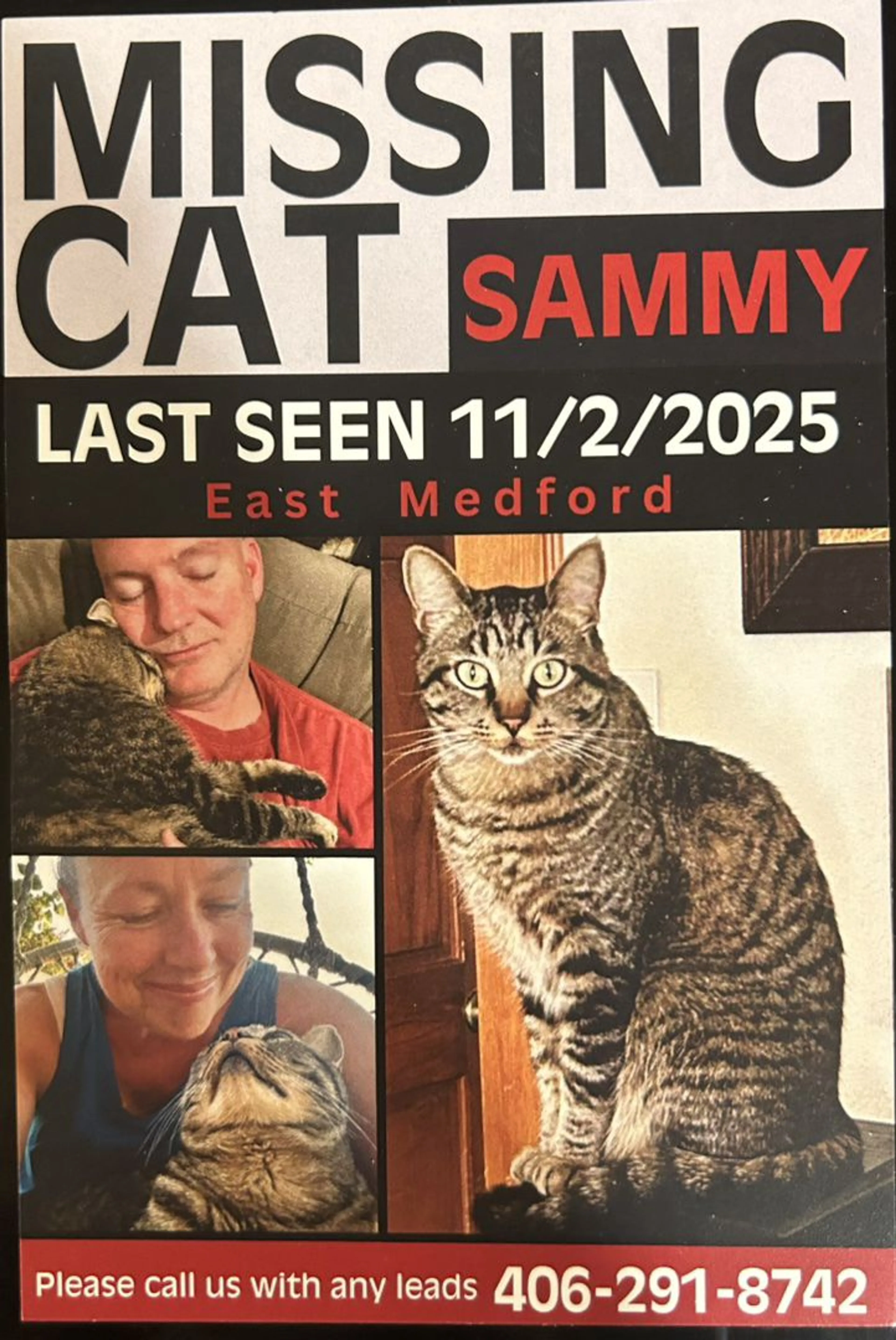 Lost pet