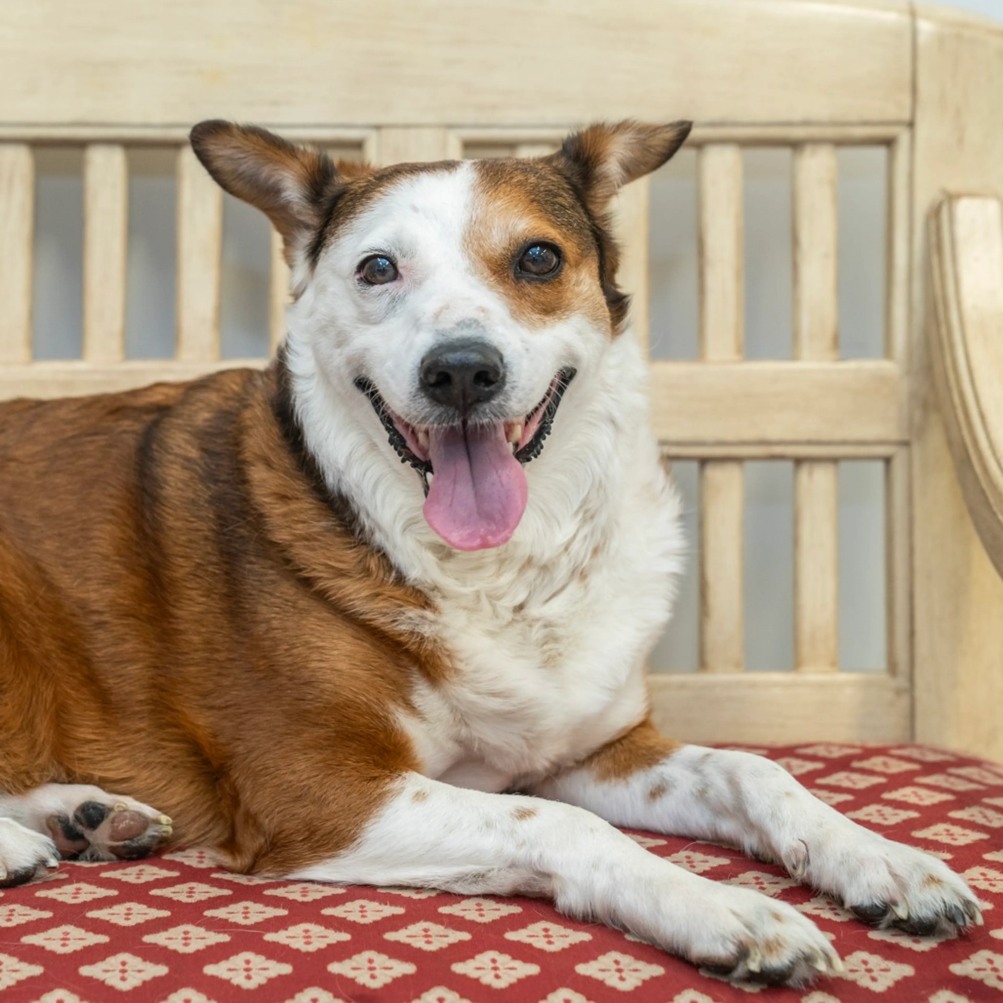 -22