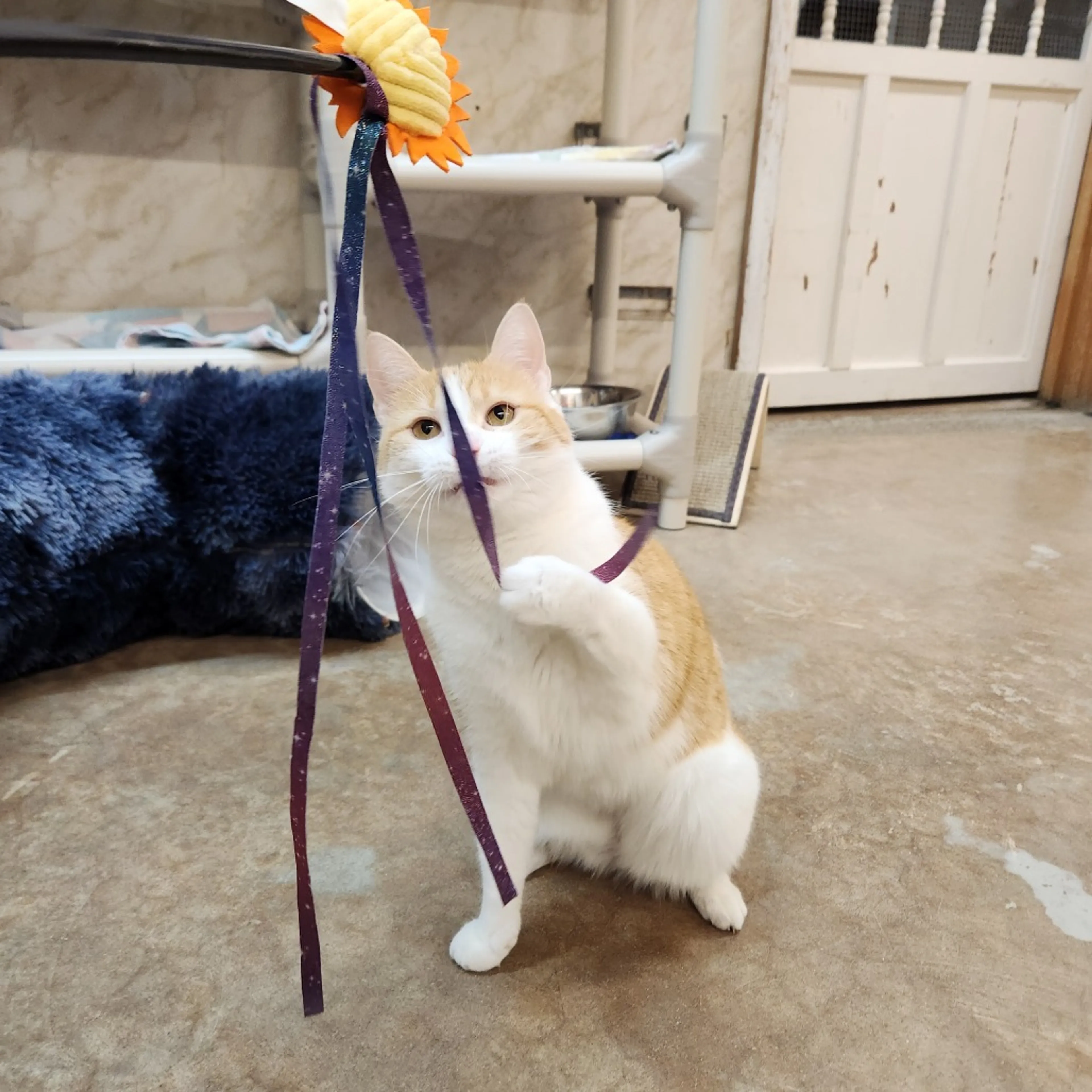 -12