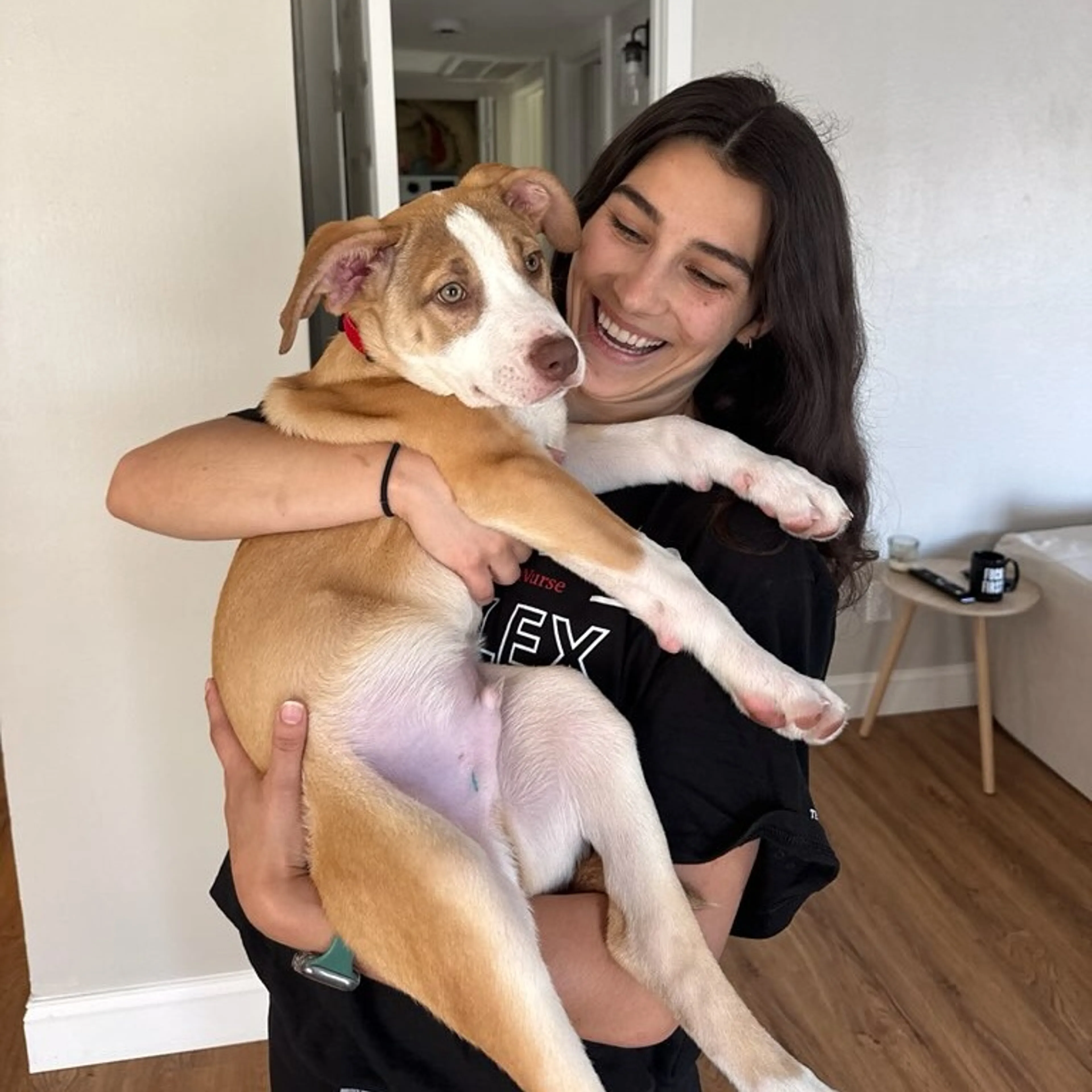 Found pet-11