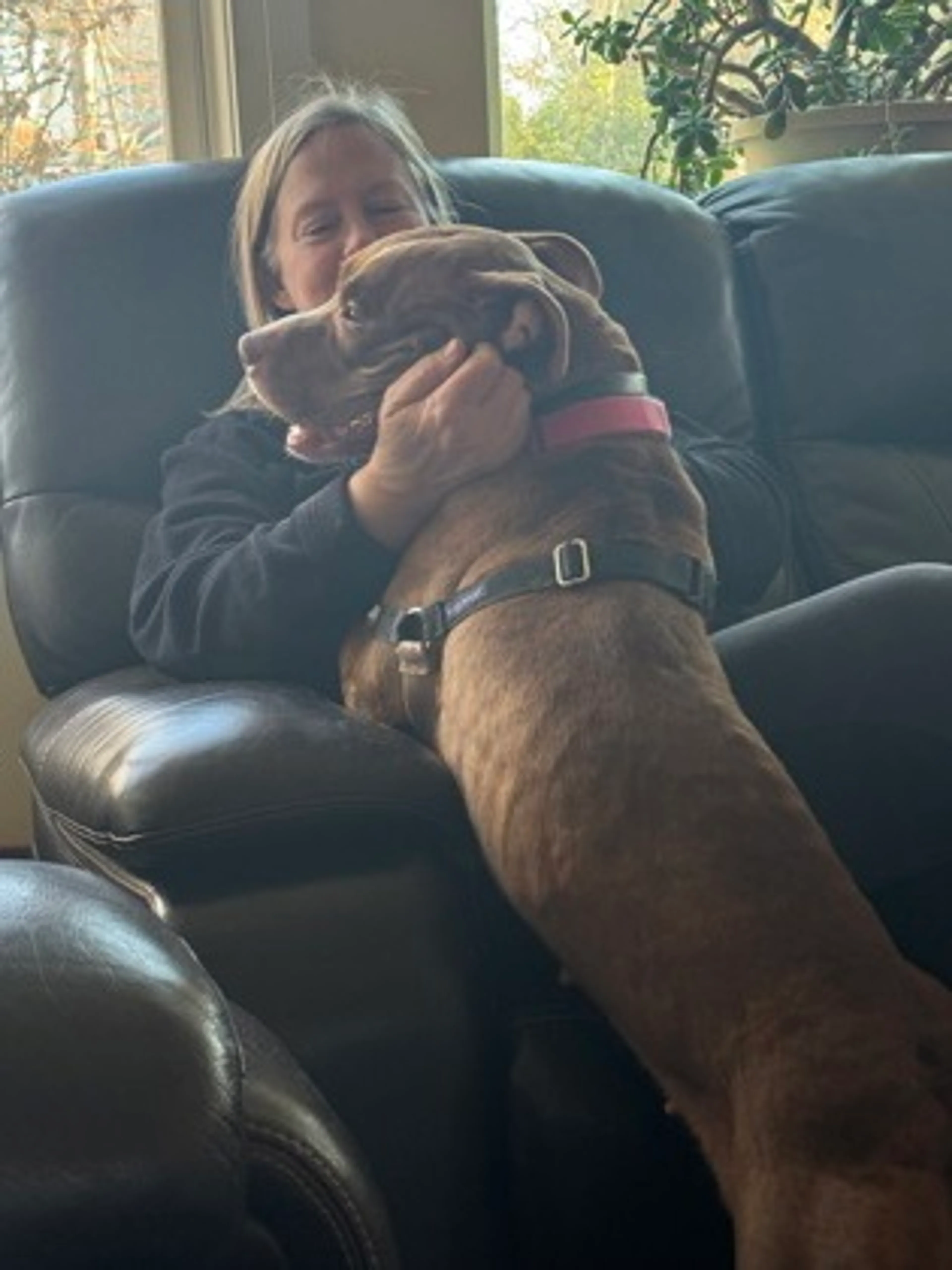 Found pet-2