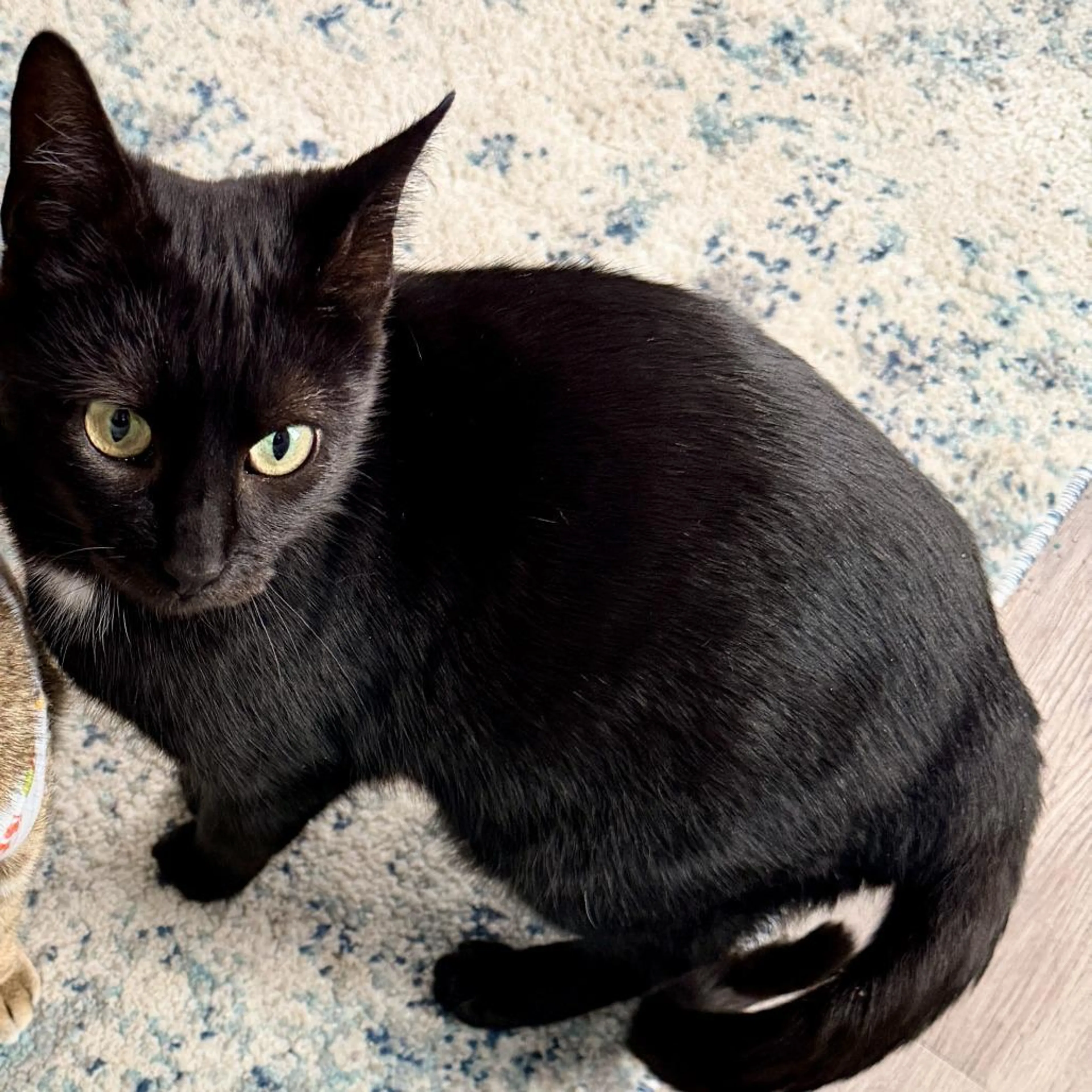 -0