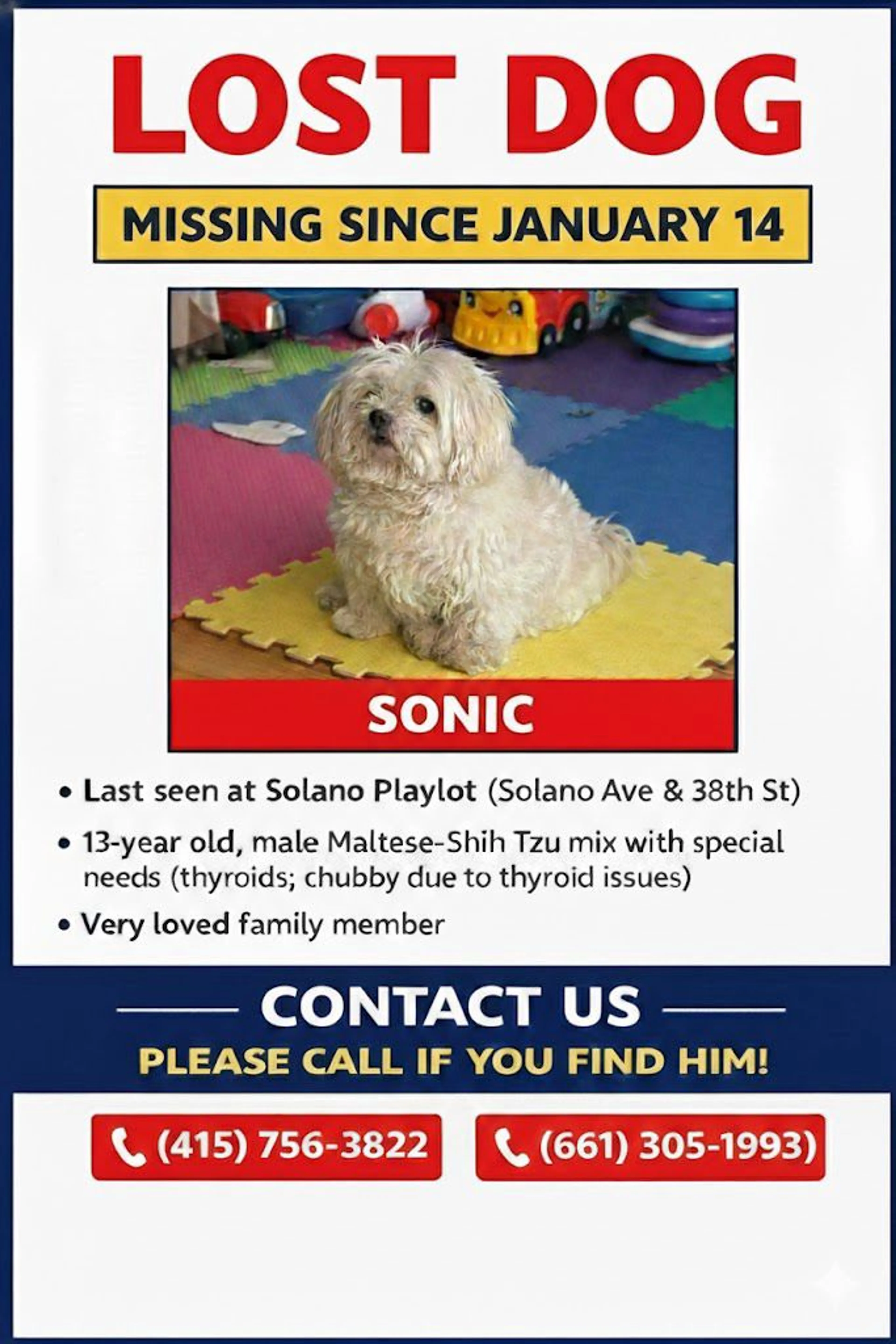 Lost pet